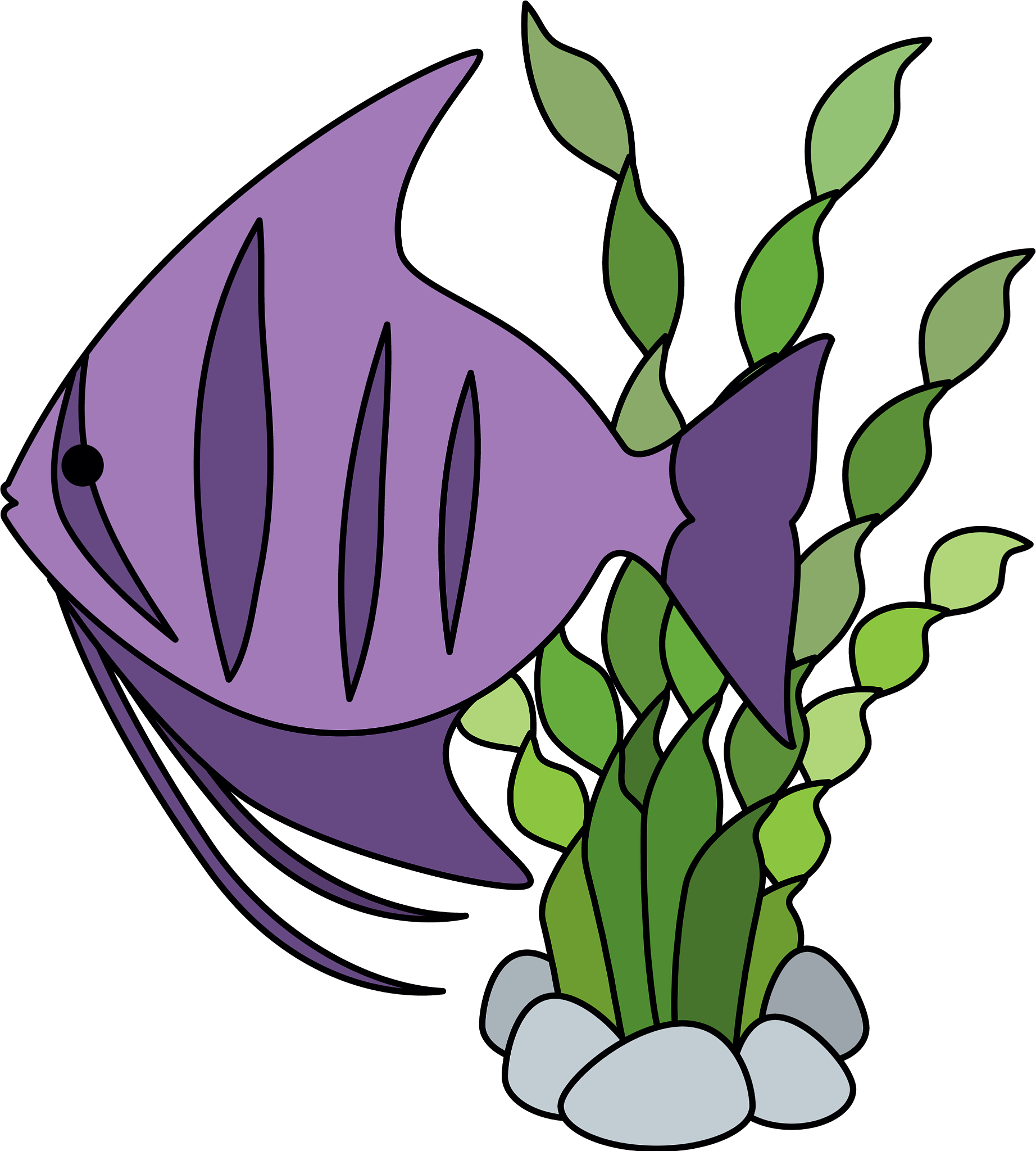 cute ornamental fish with seaweed