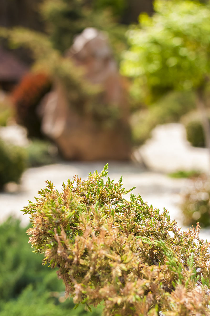 环境艺术设计专业都包括什么课程？