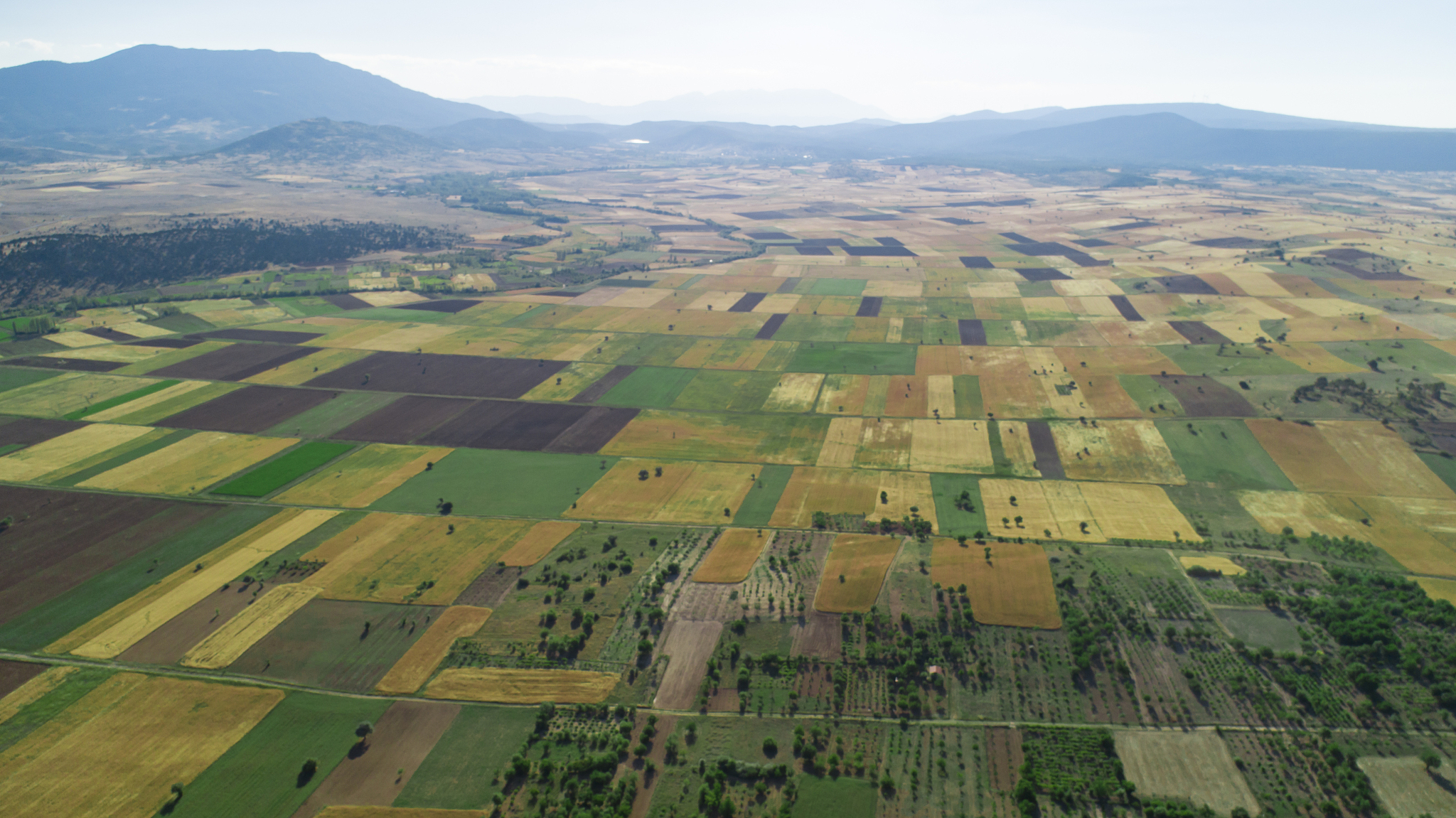 farmland, soils, fields, vineyards, gardens and rural developmen