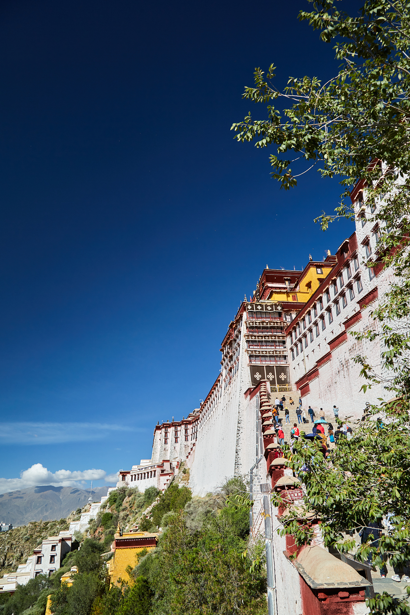 写一段 关于西藏 旅行的 抖音 文案