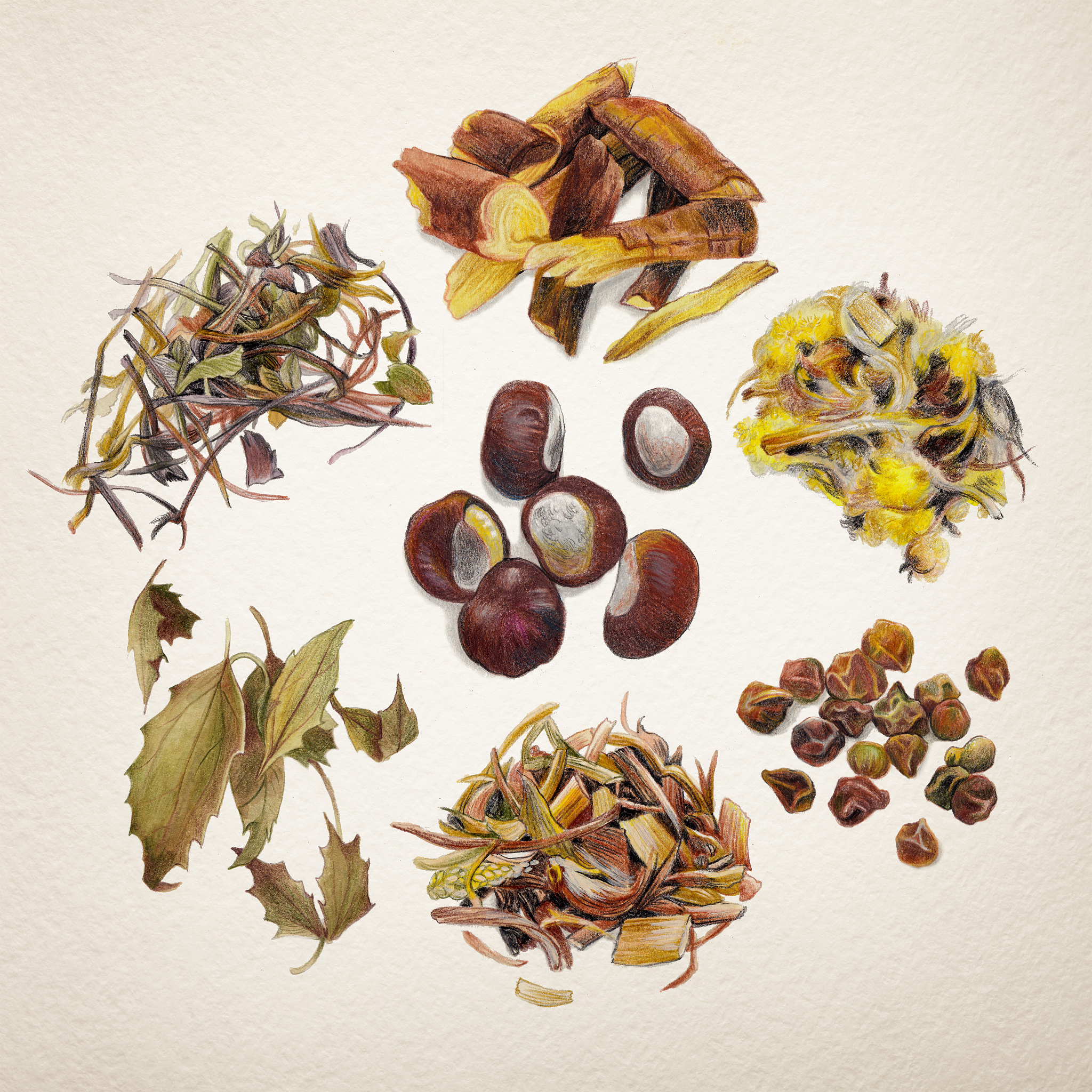 贵阳最好的中专学校排名 | 2022最新榜单