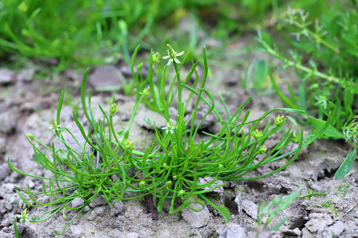 曲靖农业职业学校2023年全日制中专招生介绍