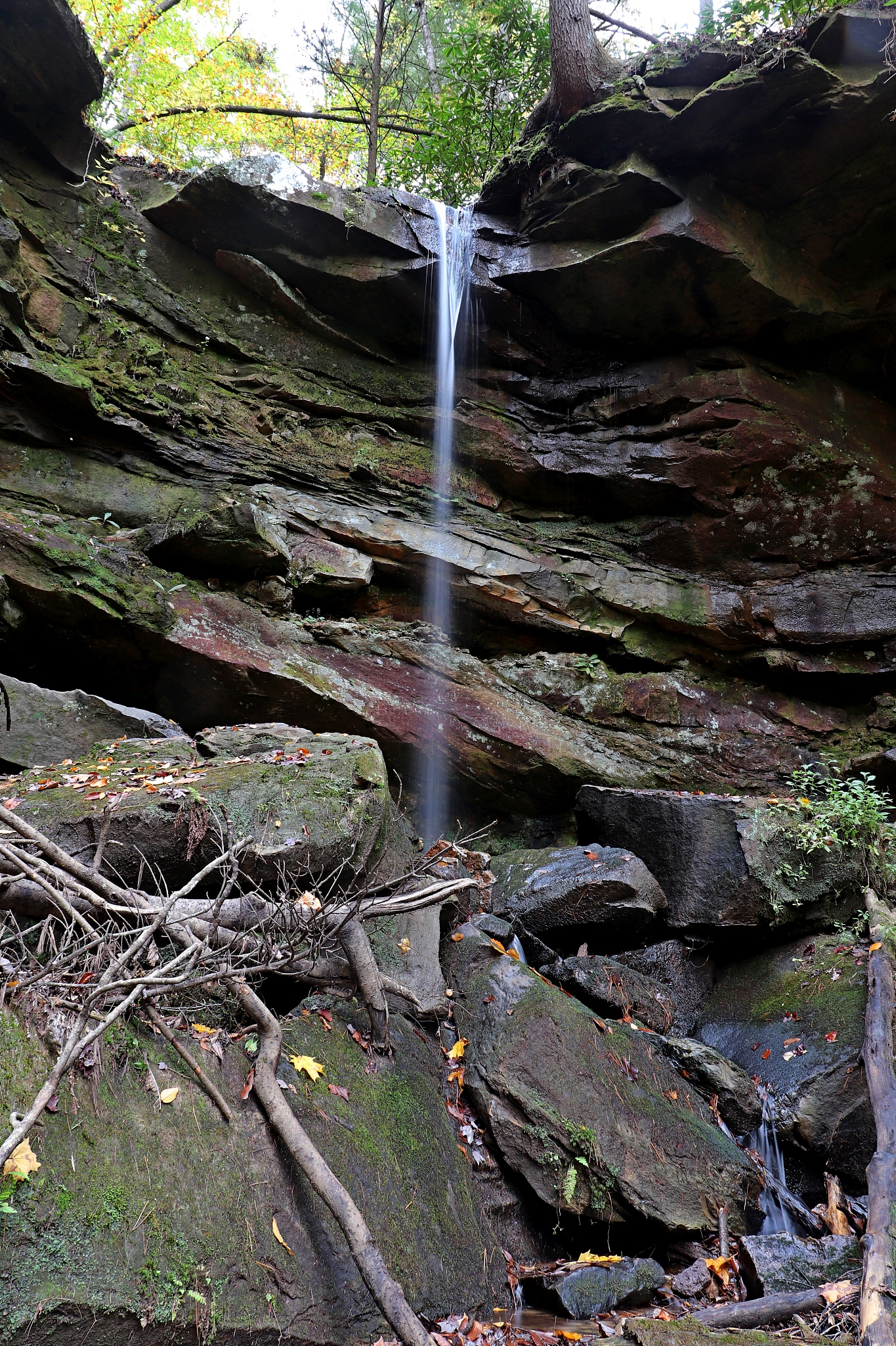 红河卫生职业学院2020年官网多少