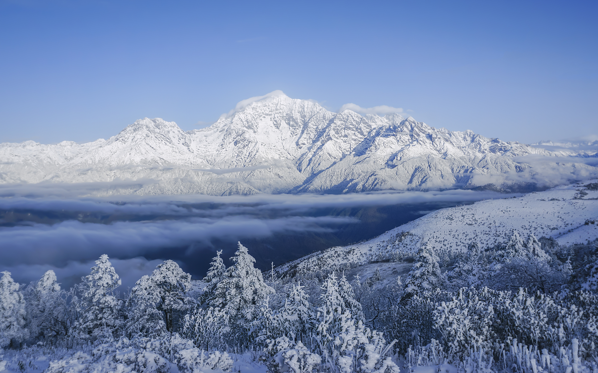 请用100字描述雪山连绵起伏云层漂浮山脚白桦伫立的场景
