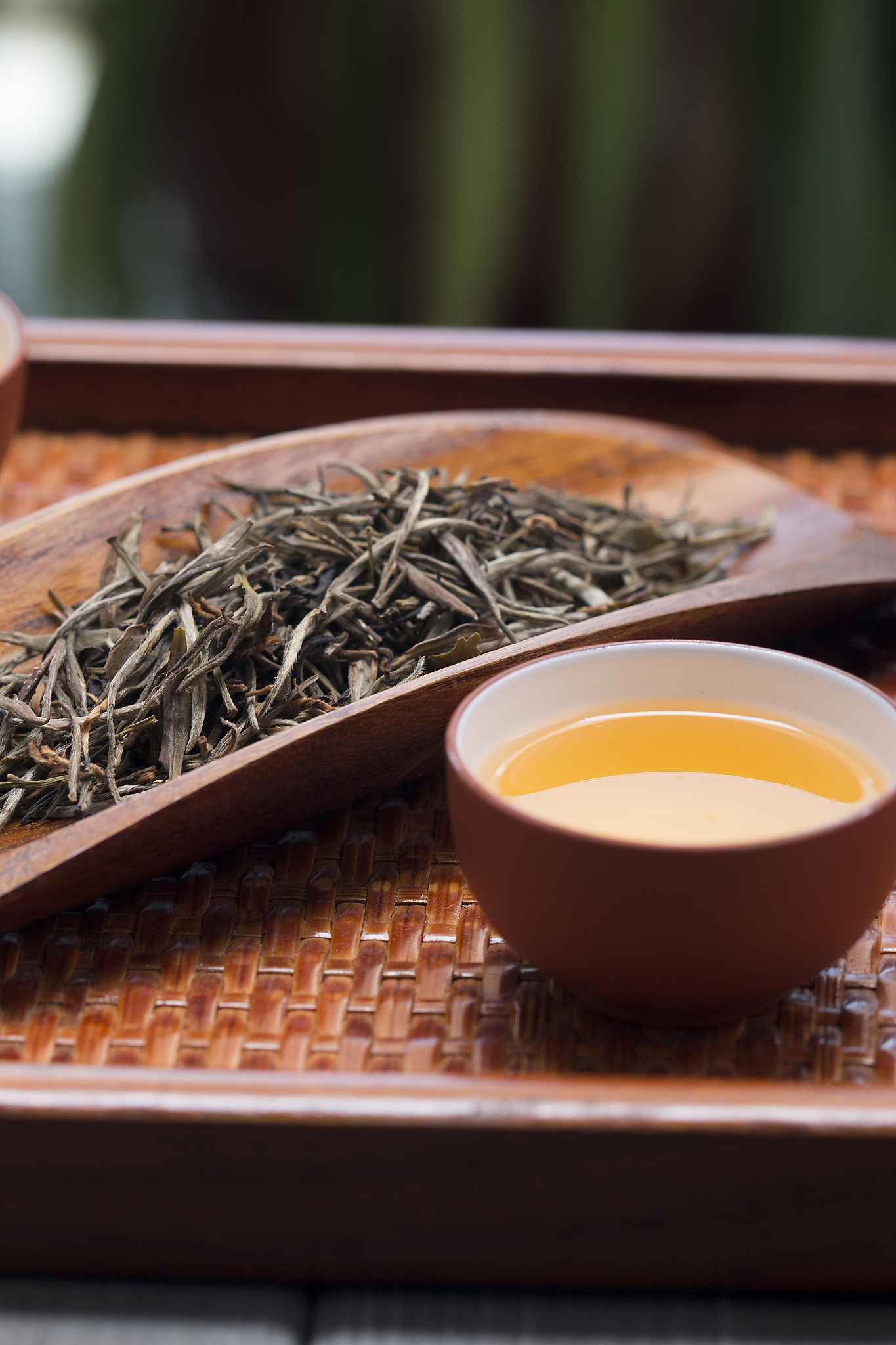 白茶品种大全：白毫银针、白牡丹、寿眉、贡眉，200字带你了解！