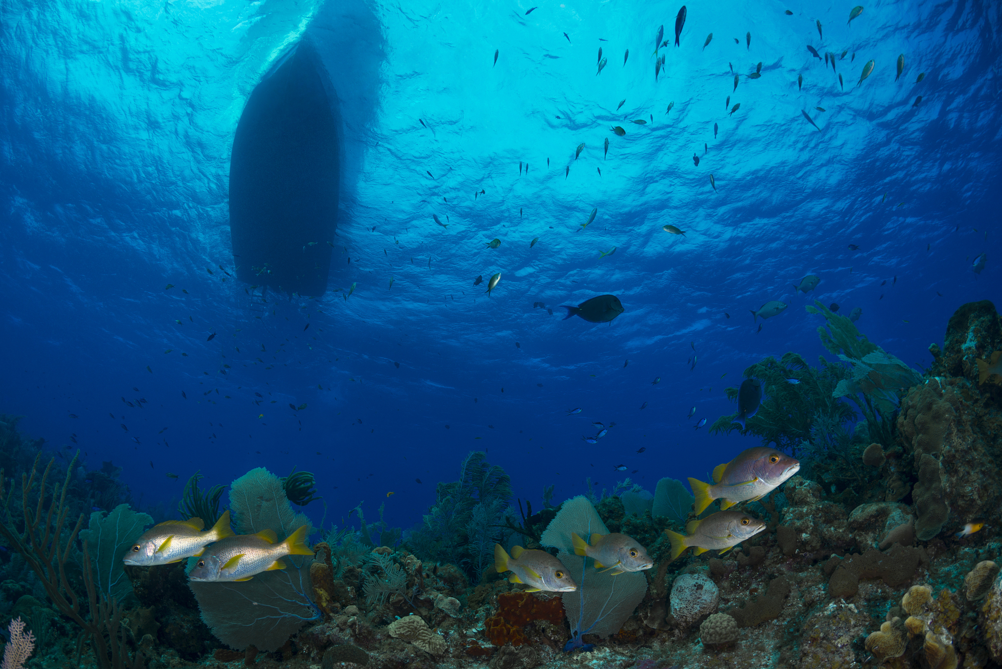 泉州海洋职业学院港口与航运管理专业好就业吗