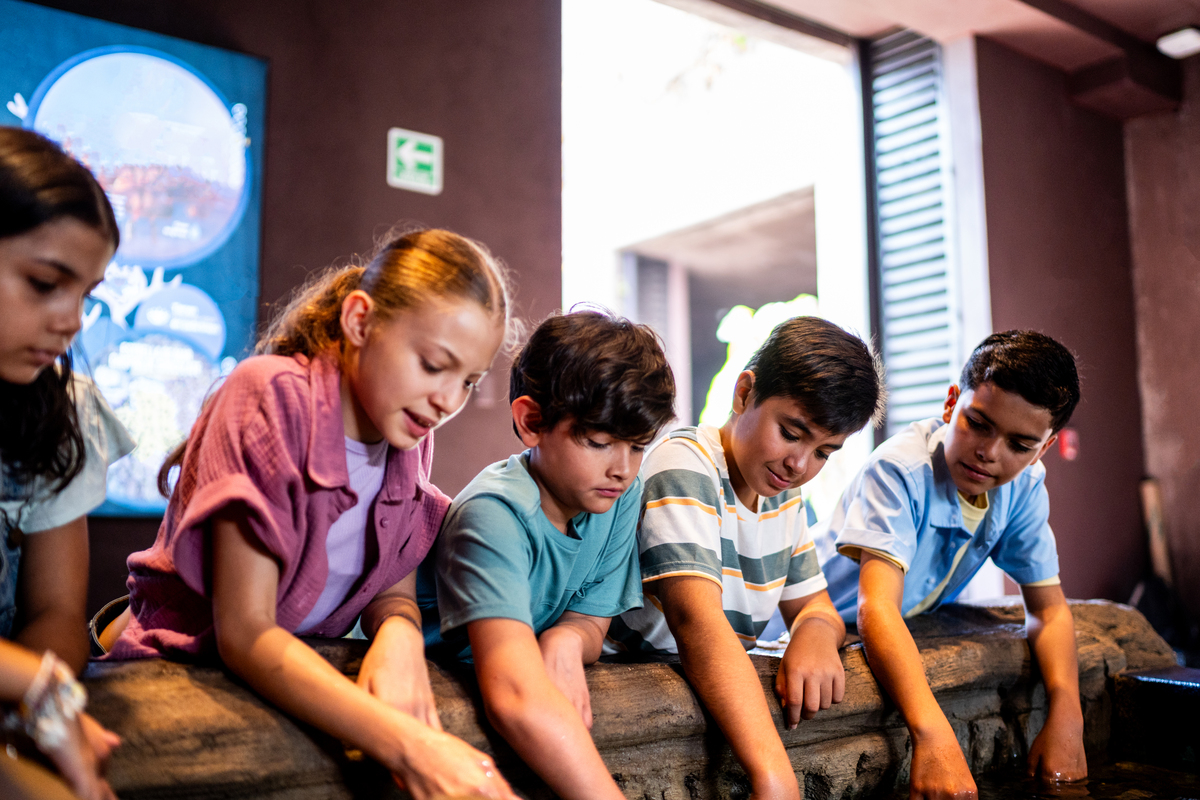 Introducing the Photography Club: A Thriving Initiative at Our School