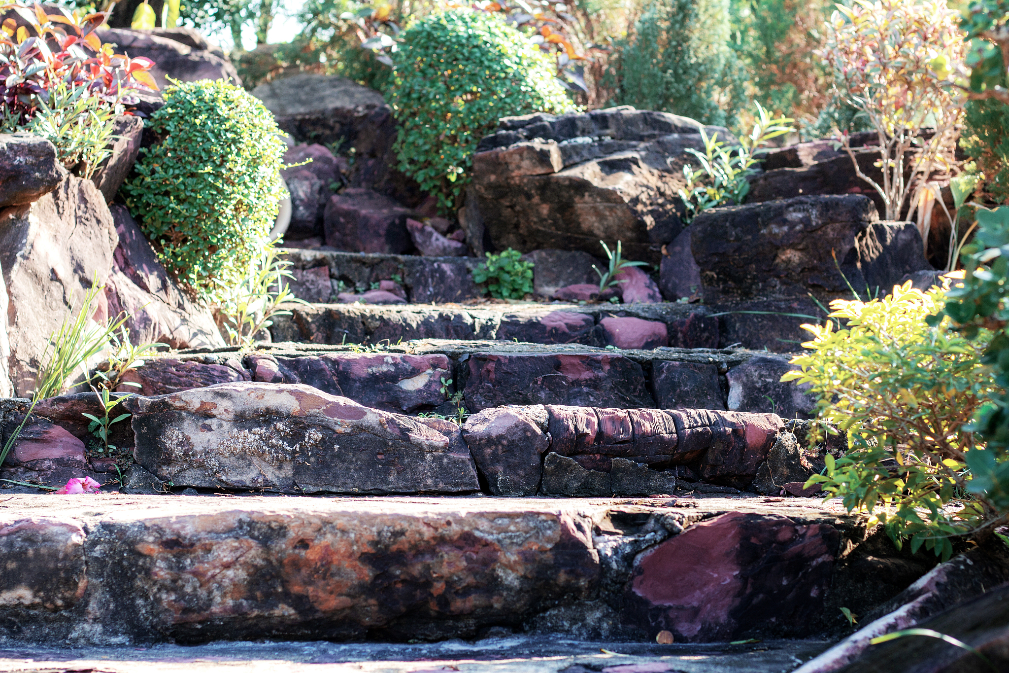 北京市园林学校招生专业介绍：园林设计、规划、工程、管理