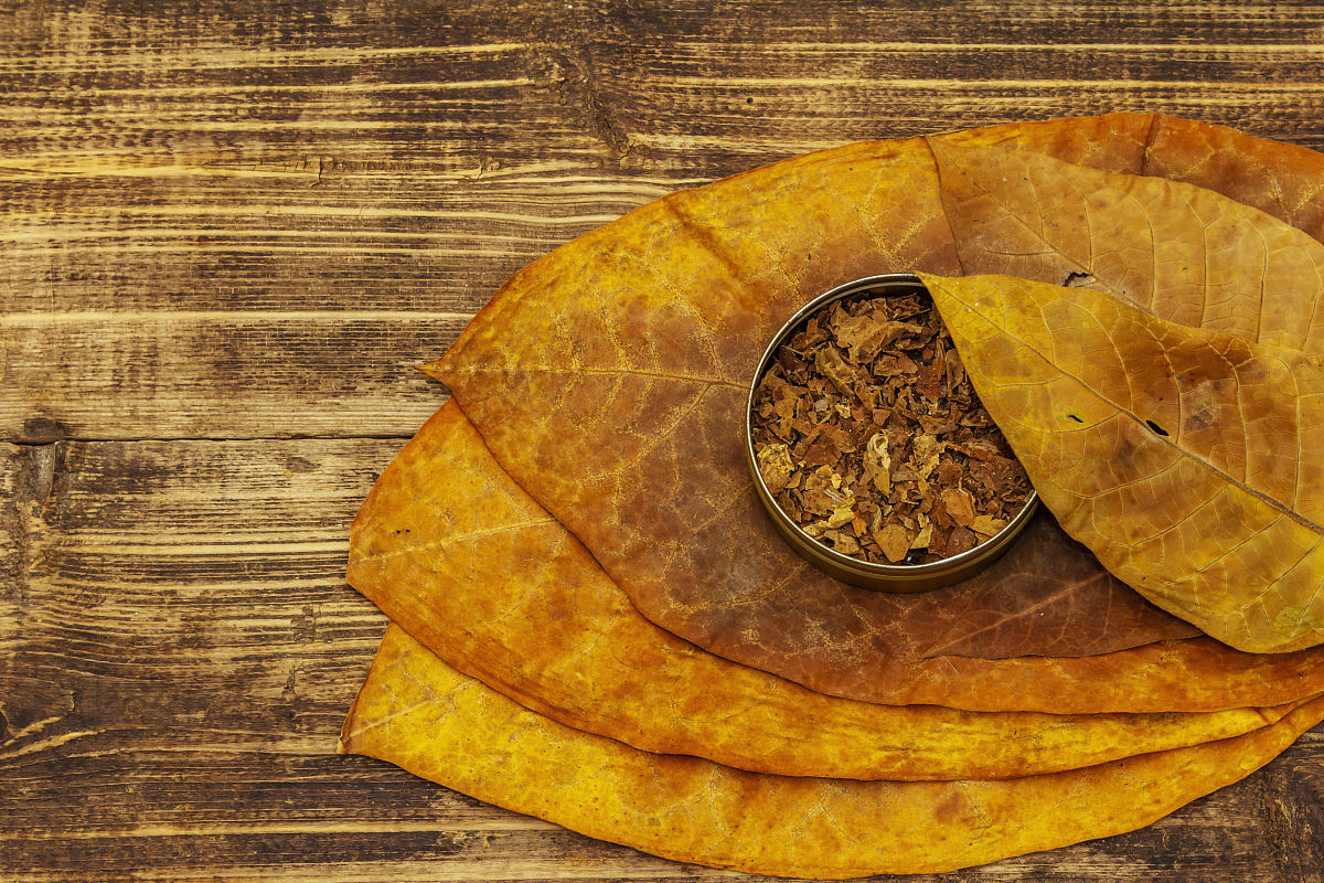 监理员的工作总结主要内容个人简介、学习心得含导师带徒、青年学堂等培养情况、工作总结、工作成果、存在问题、未来展望等。