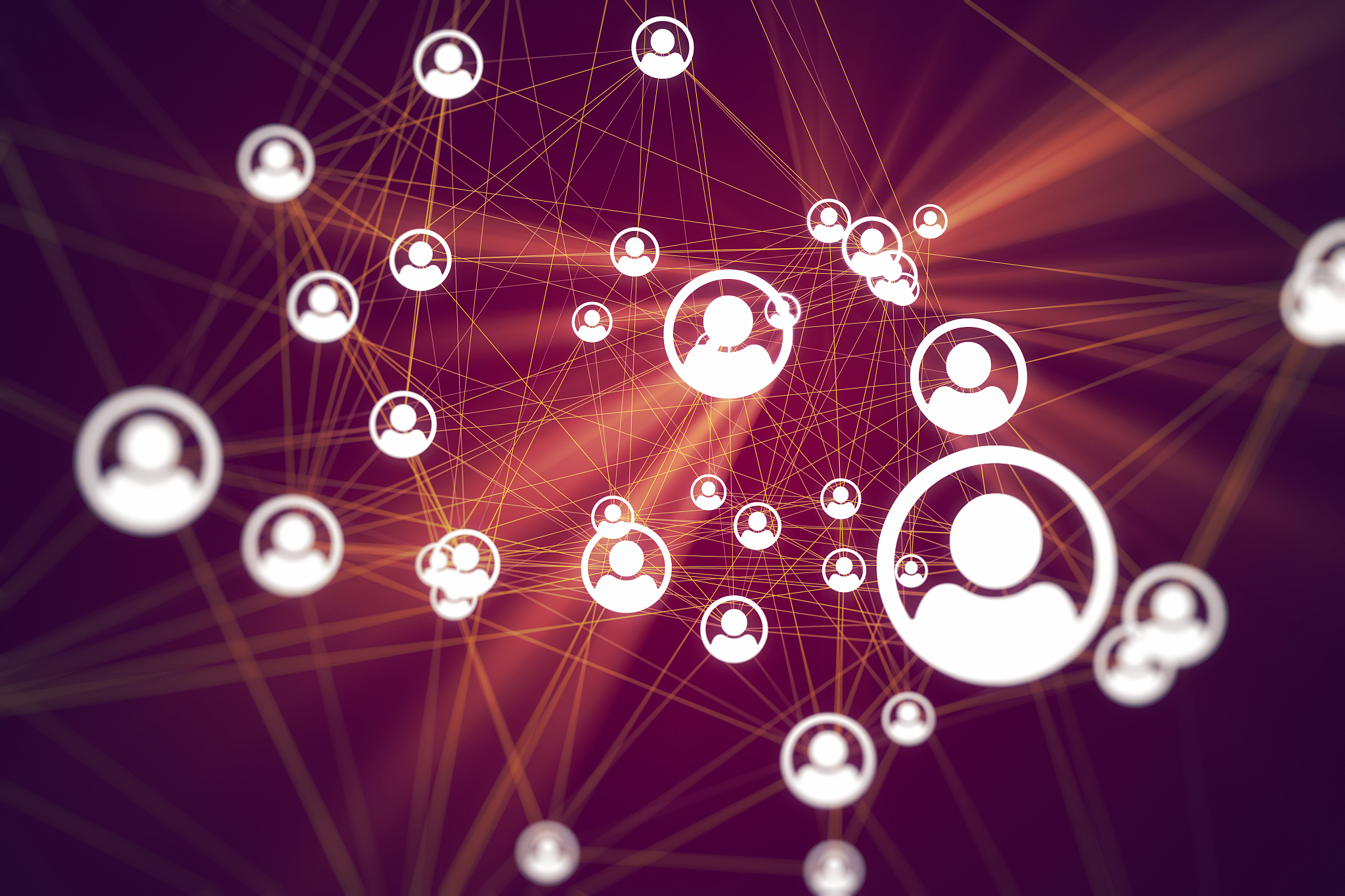 social connection networking