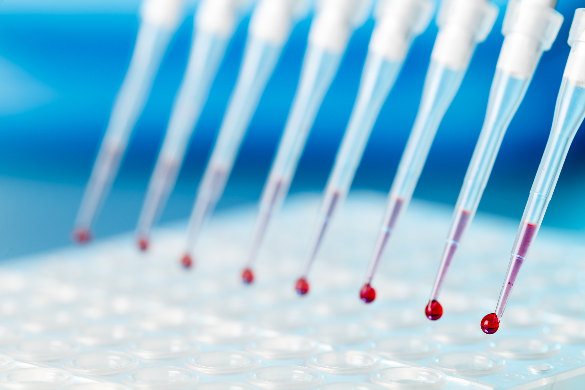 如何保存头发样本用于DNA分析