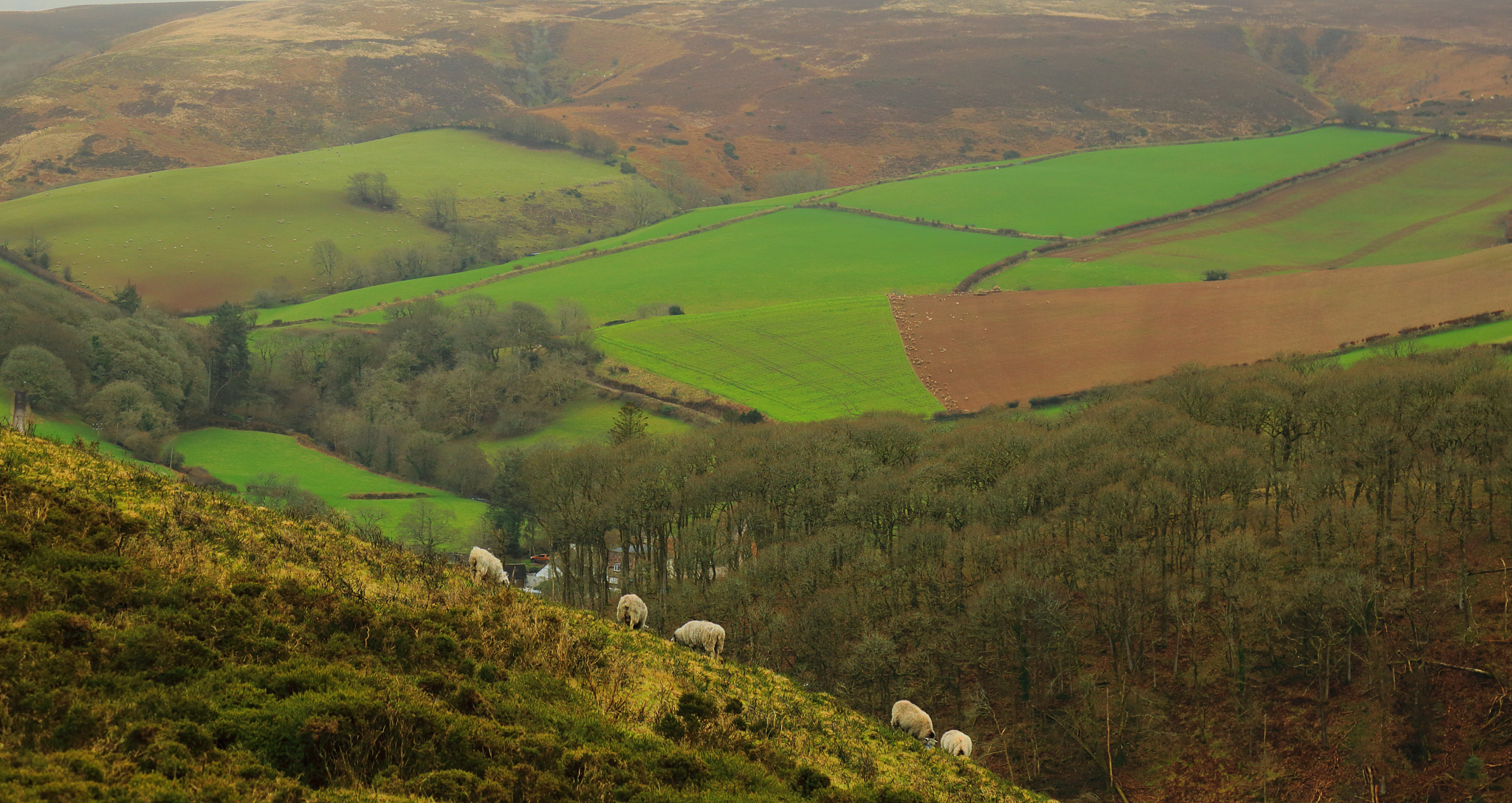 rolling hills and farmland in exmoor national park