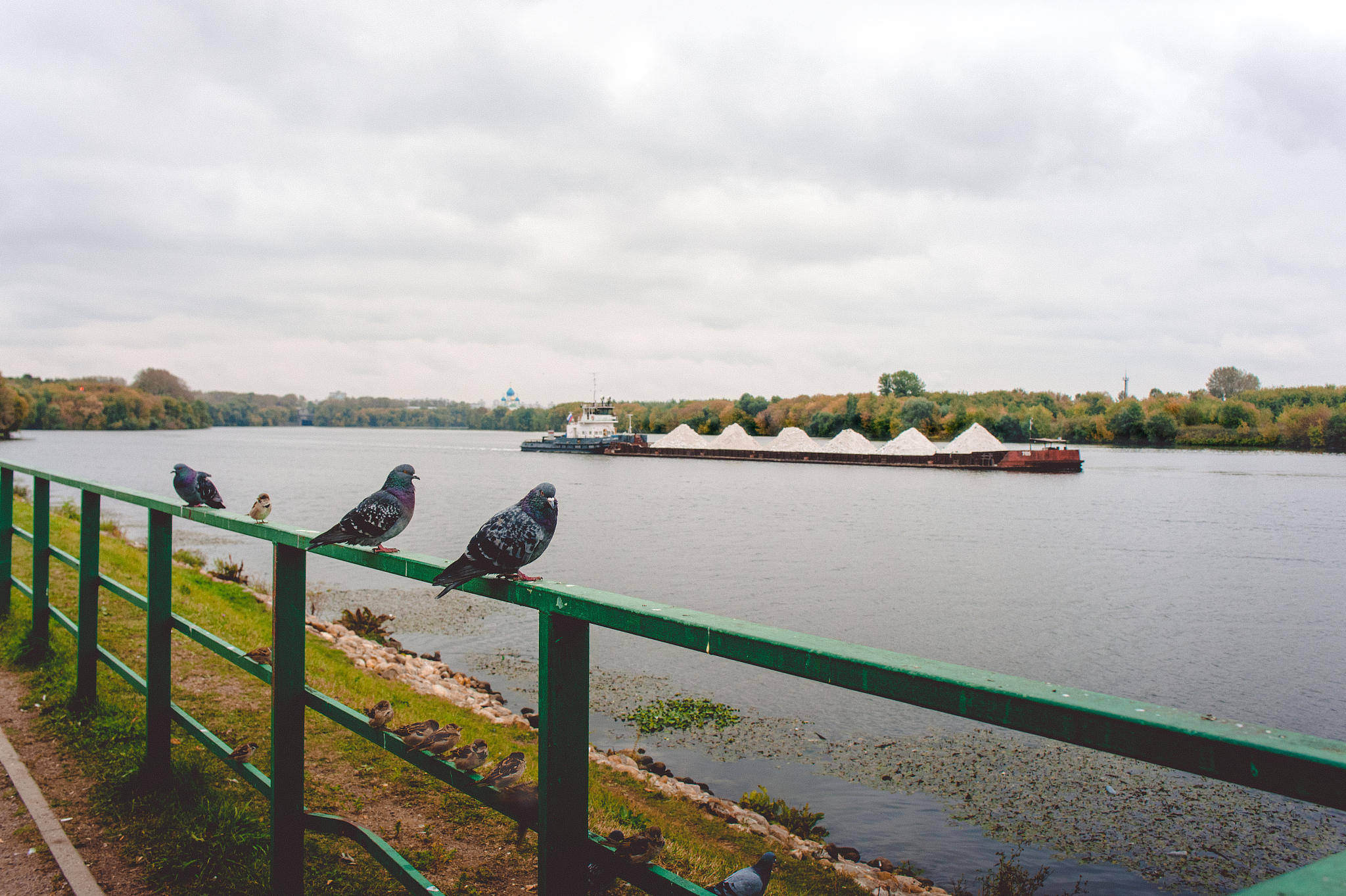 Evidence of Cargo Damage: Did the Cargo Cause the Damage?