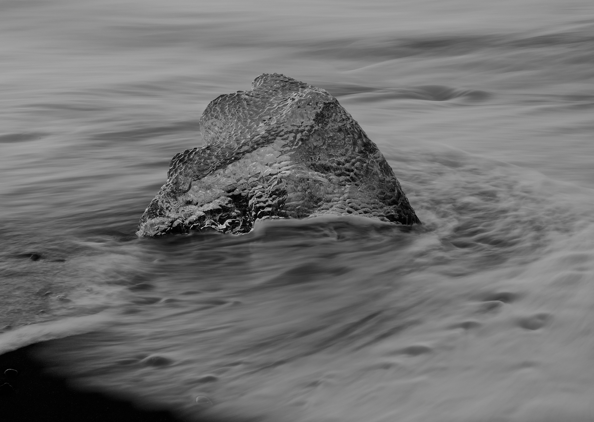 江苏海洋大学2022年招生简章 - 报考指南及录取政策