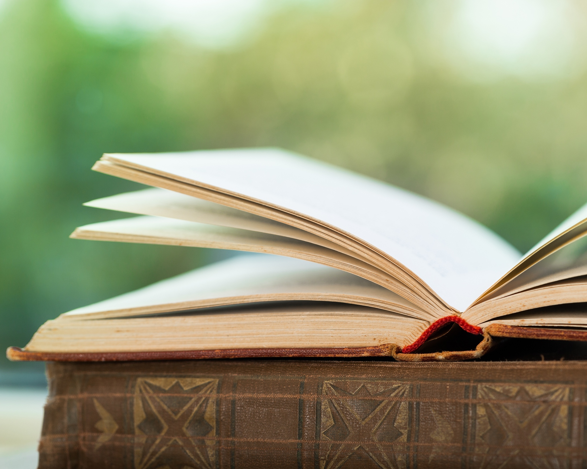 写一篇读书会记录