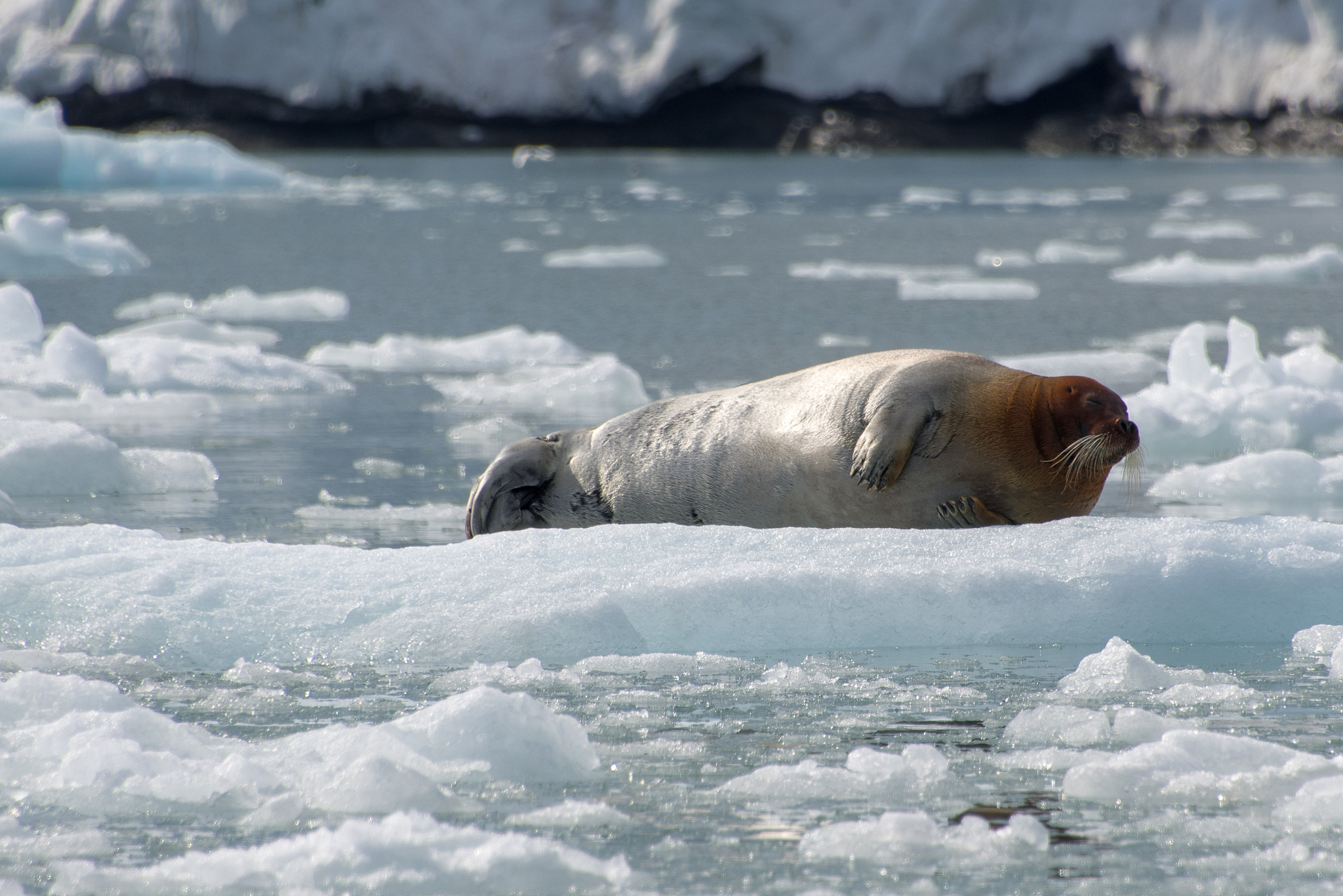 宁波海洋职业技术学校2023年有哪些专业