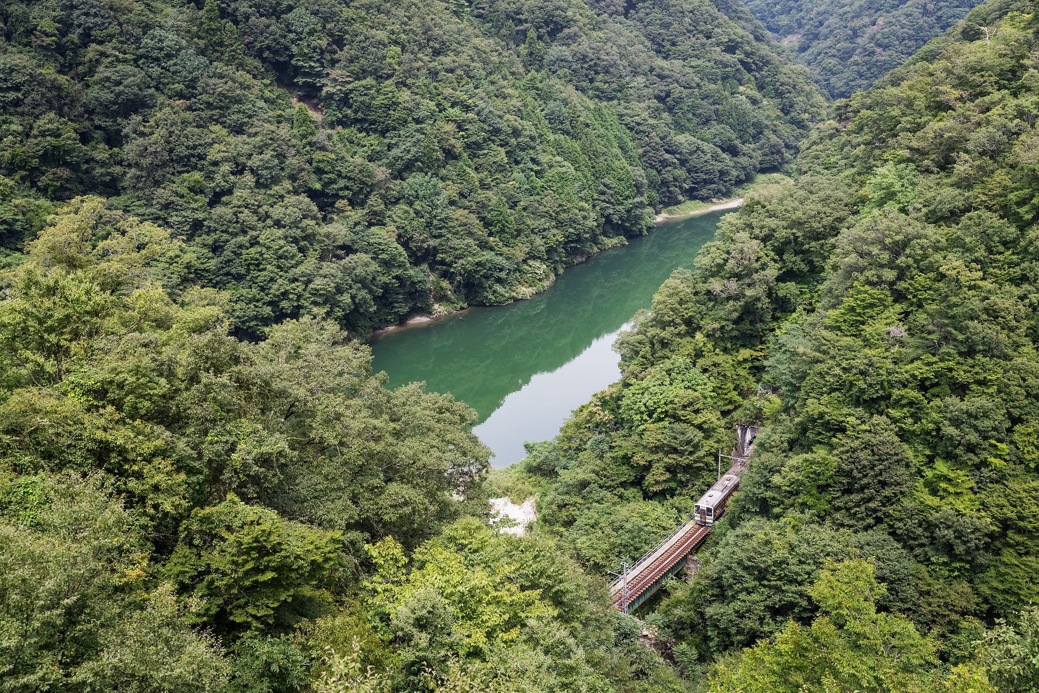 大奇山国家森林公园管理政策：保护生态，文明游览