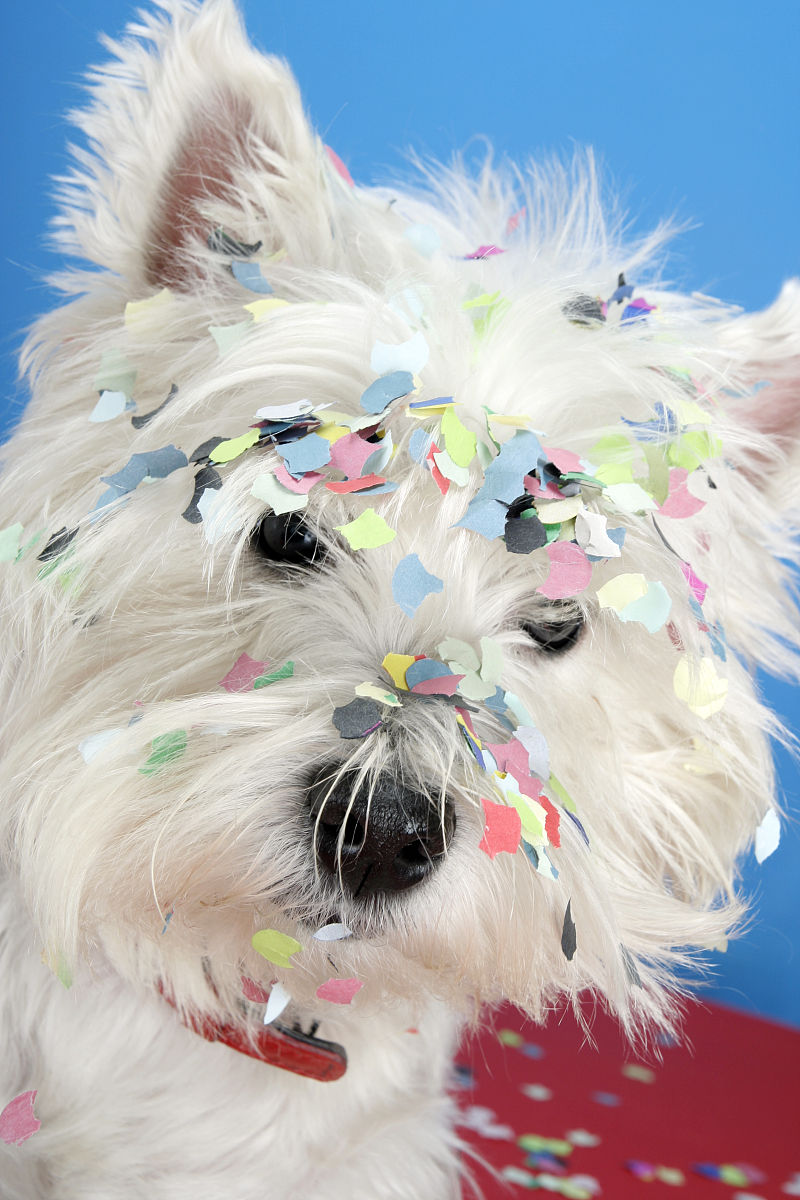 羽毛接发后的惨状，