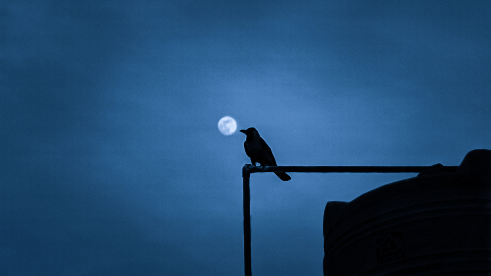 书窗明月：关于人生、梦想和永恒的思考