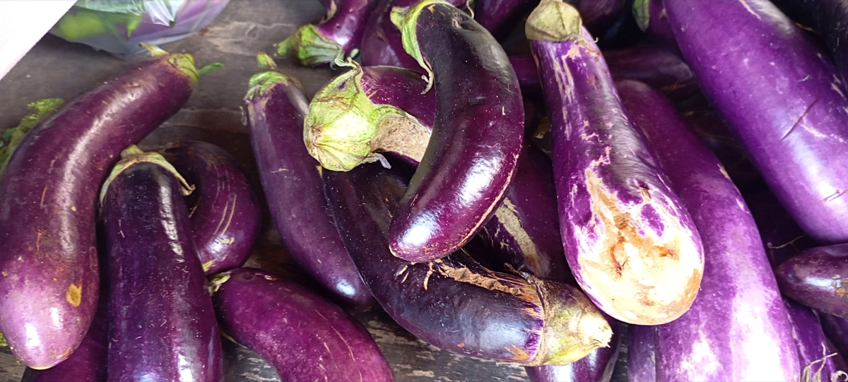 茄子销量分析：紫茄子(2) 销量最高，占60.39%