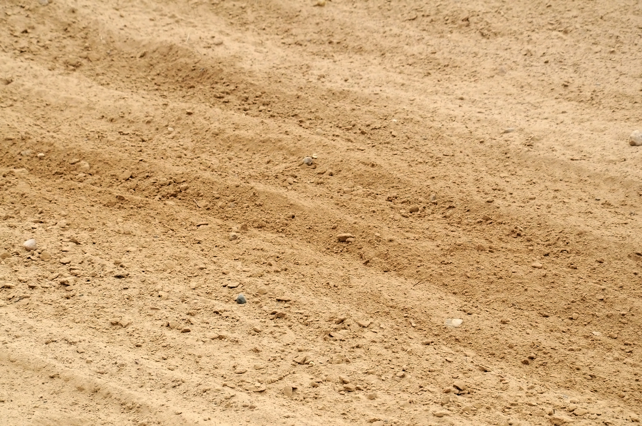 traces of motorcycles