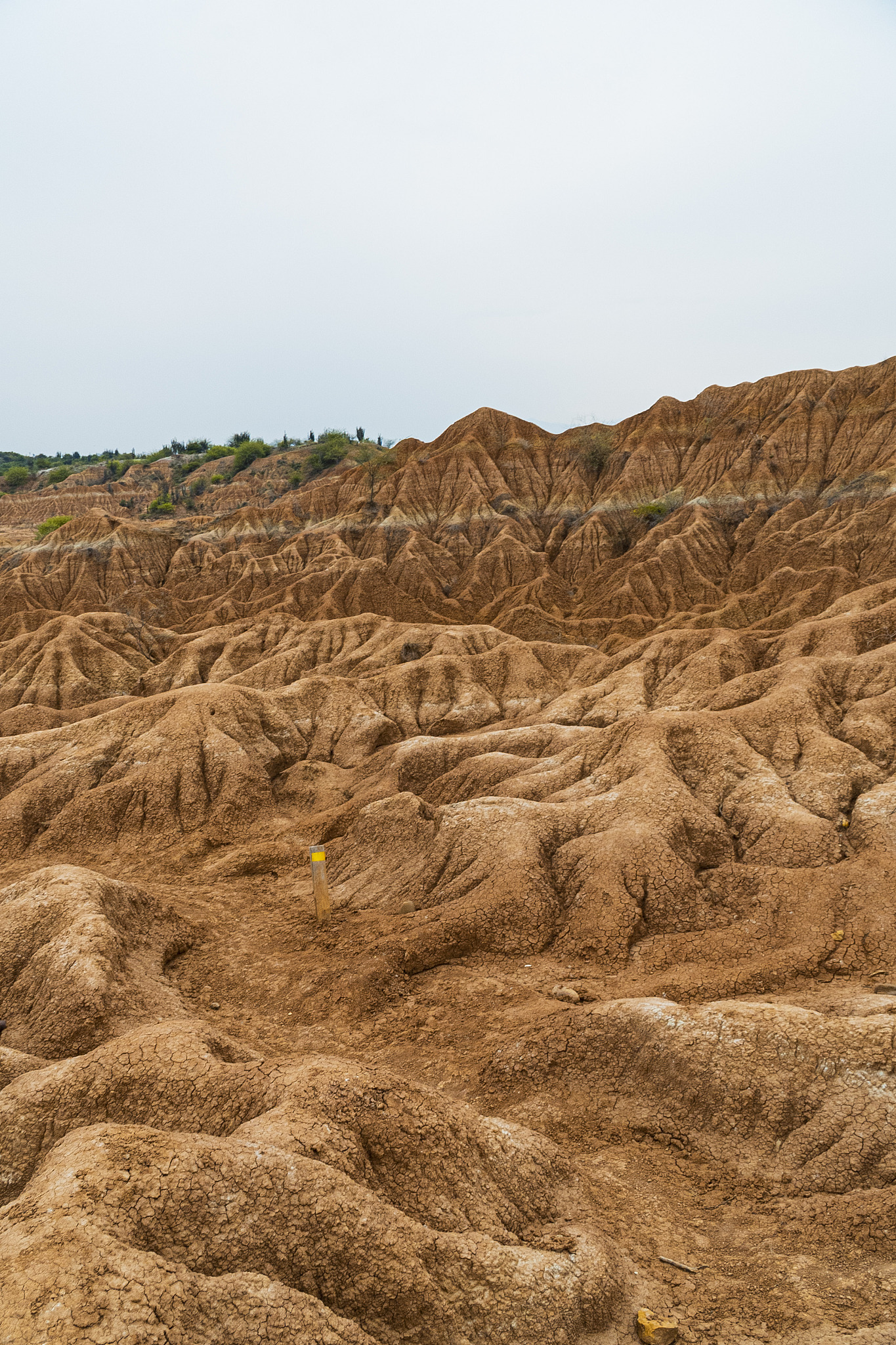 la tatacoa desert near the city of neiva