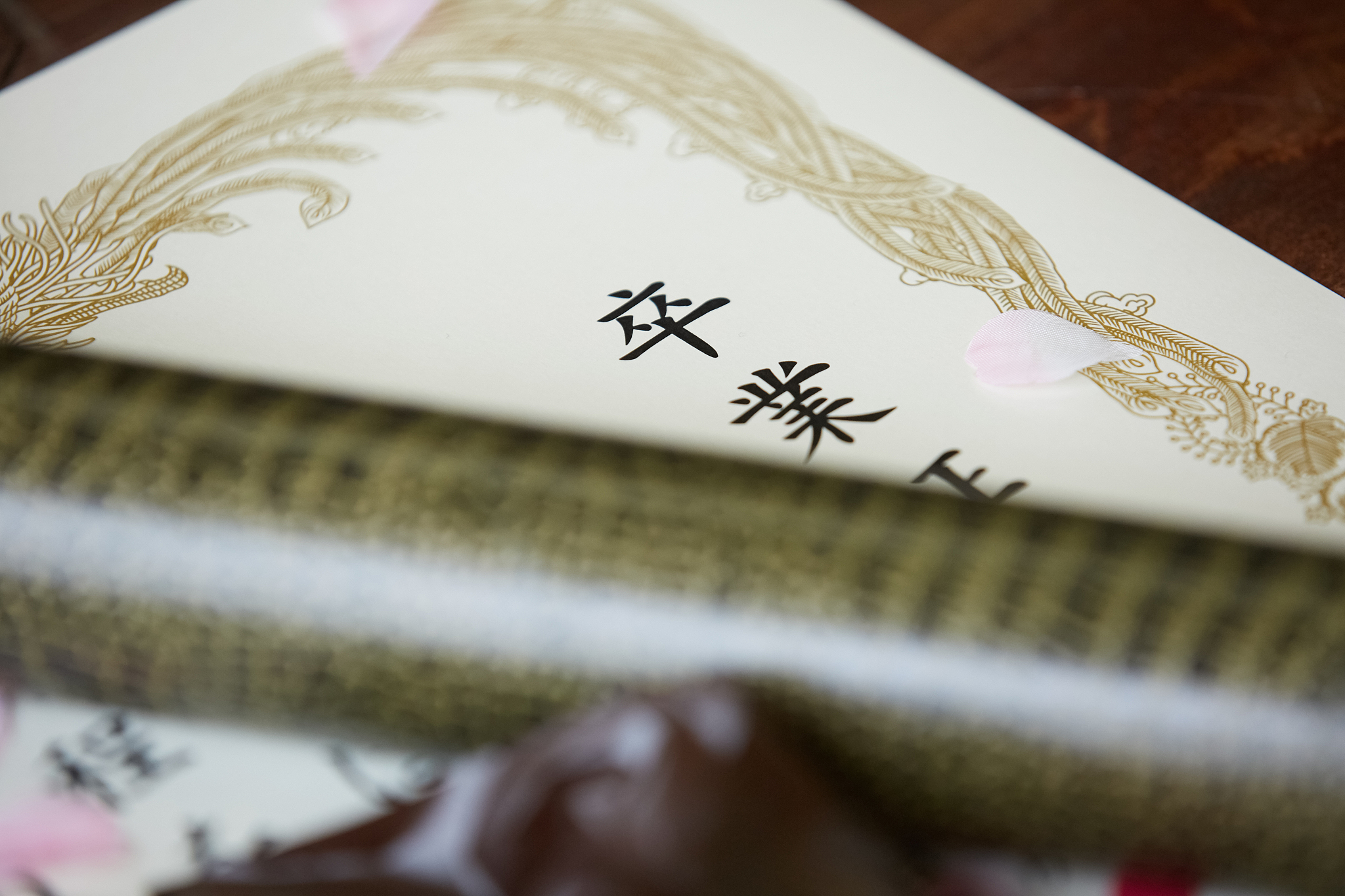 四川2022年初中没毕业能上中专吗