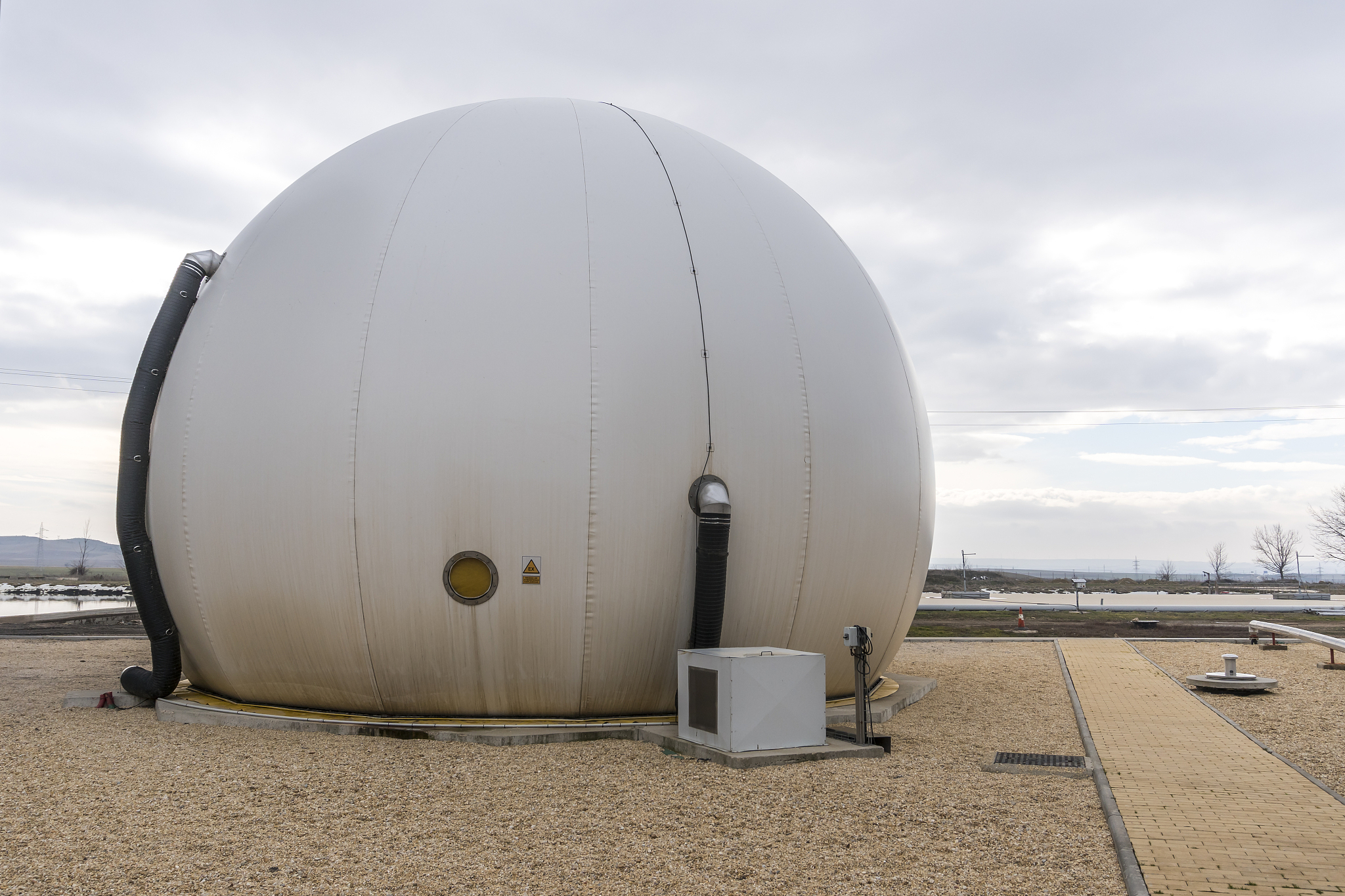 生物柴油制备方法: 酯交换、氢化与生物催化