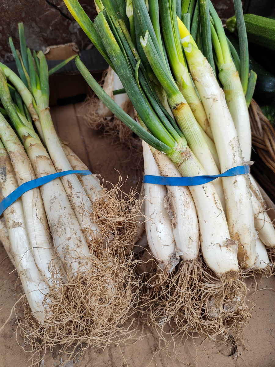 生吃毛葱的功效与作用，