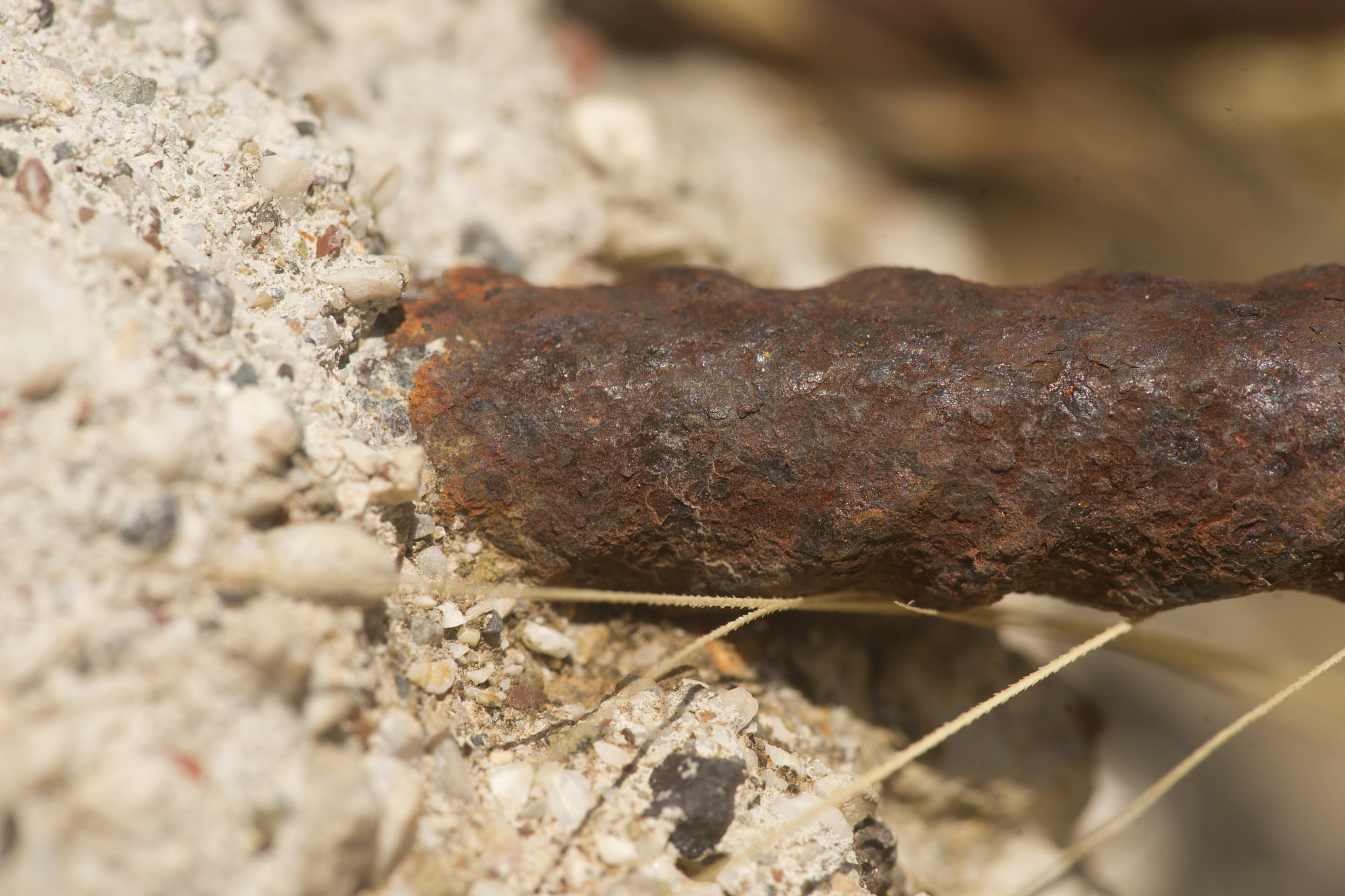 reinforced concrete with steel rebar