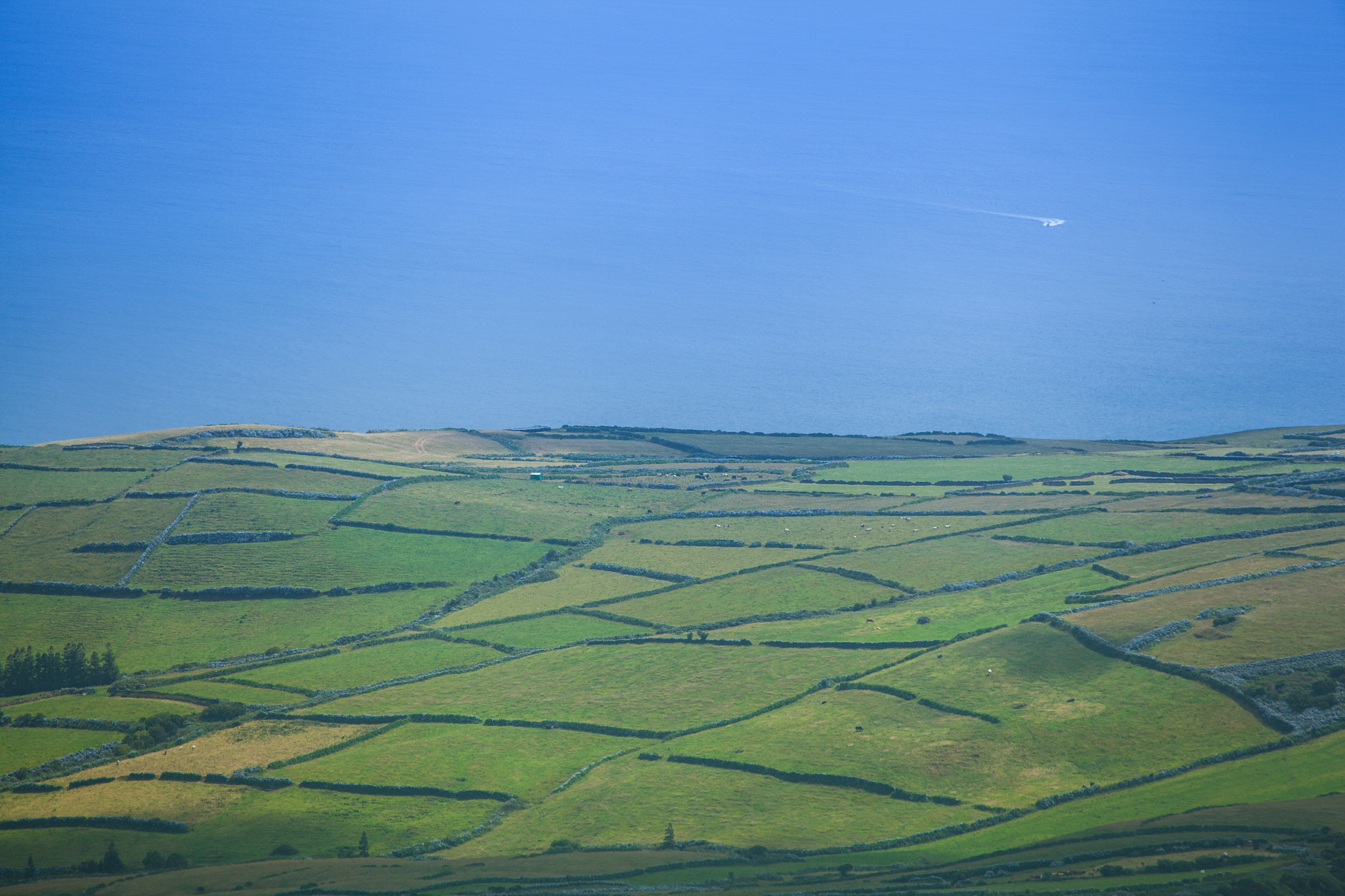 landscape on faial island