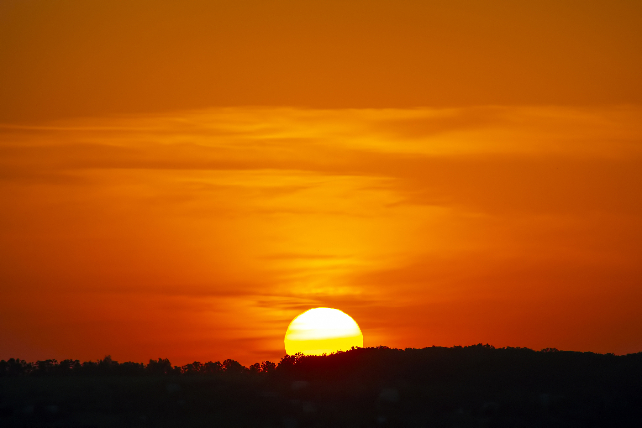 日落沧海看夕阳万丈霞光谱辉煌。轻叹美景难留住只因月色要锋芒
