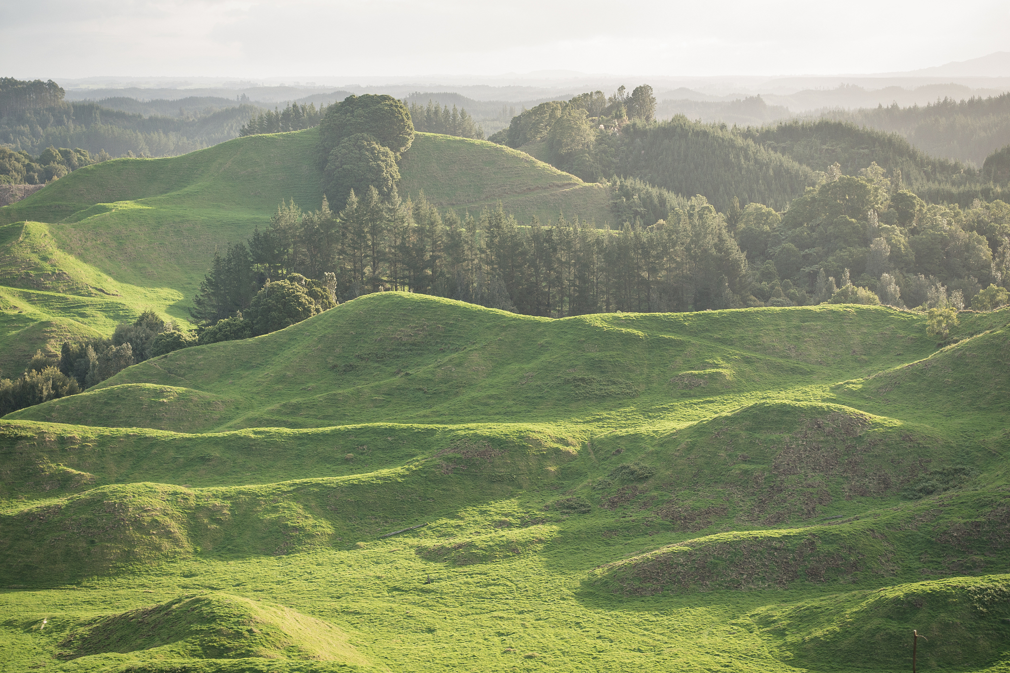 scenic view of landscape