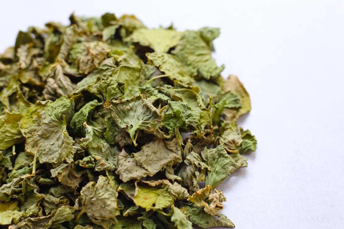 桑叶茶：开启健康生活的第一步