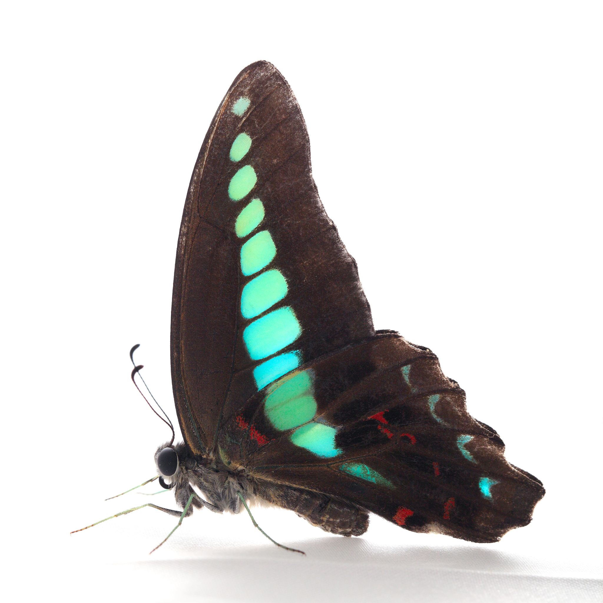 tell me something idk