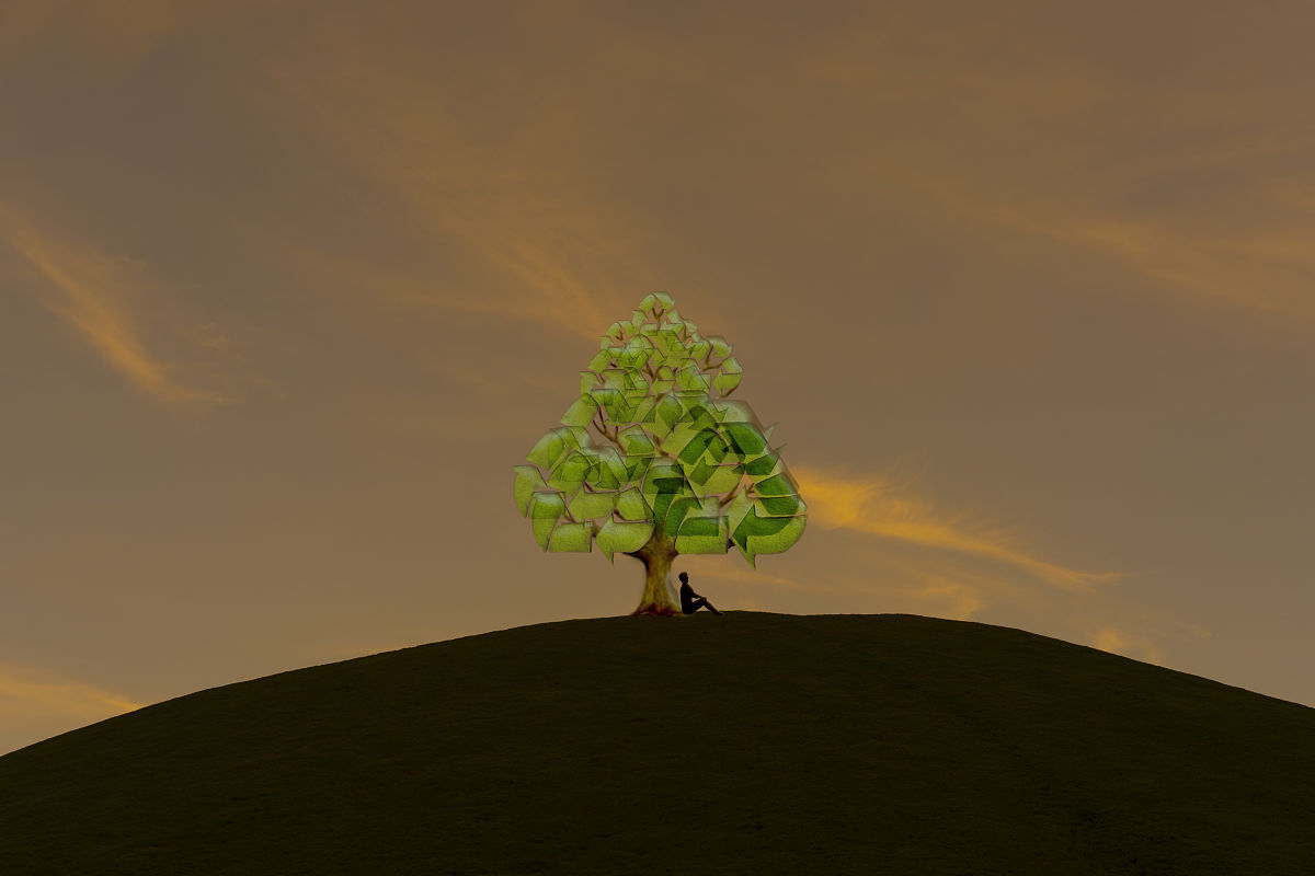 陕西2023年中专学校是学什么的