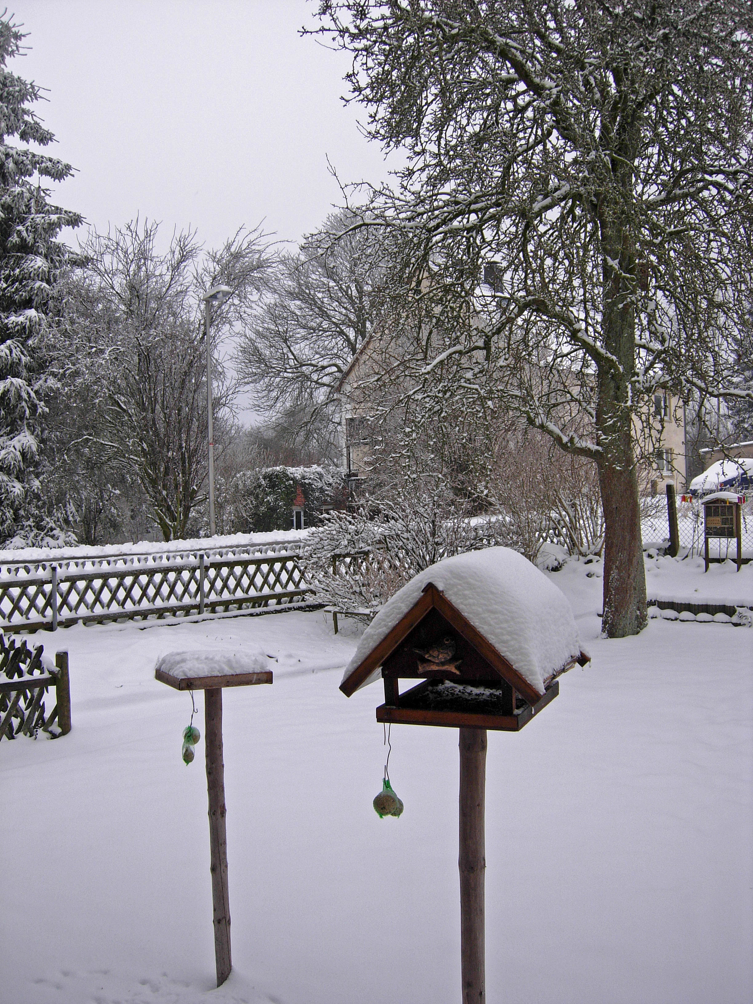 Best Outdoor Smart Bird Feeders with Camera: Reviews and Titles