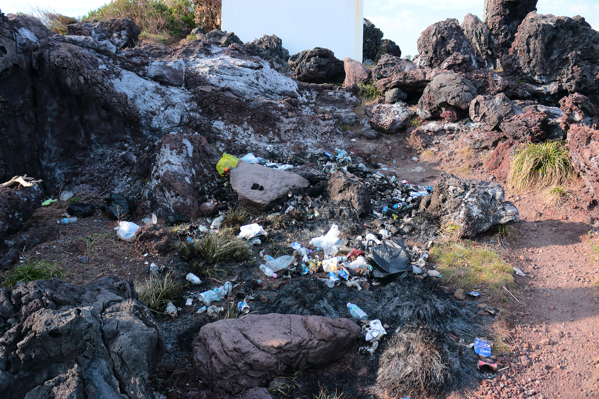 jeju shore, lava, rock,