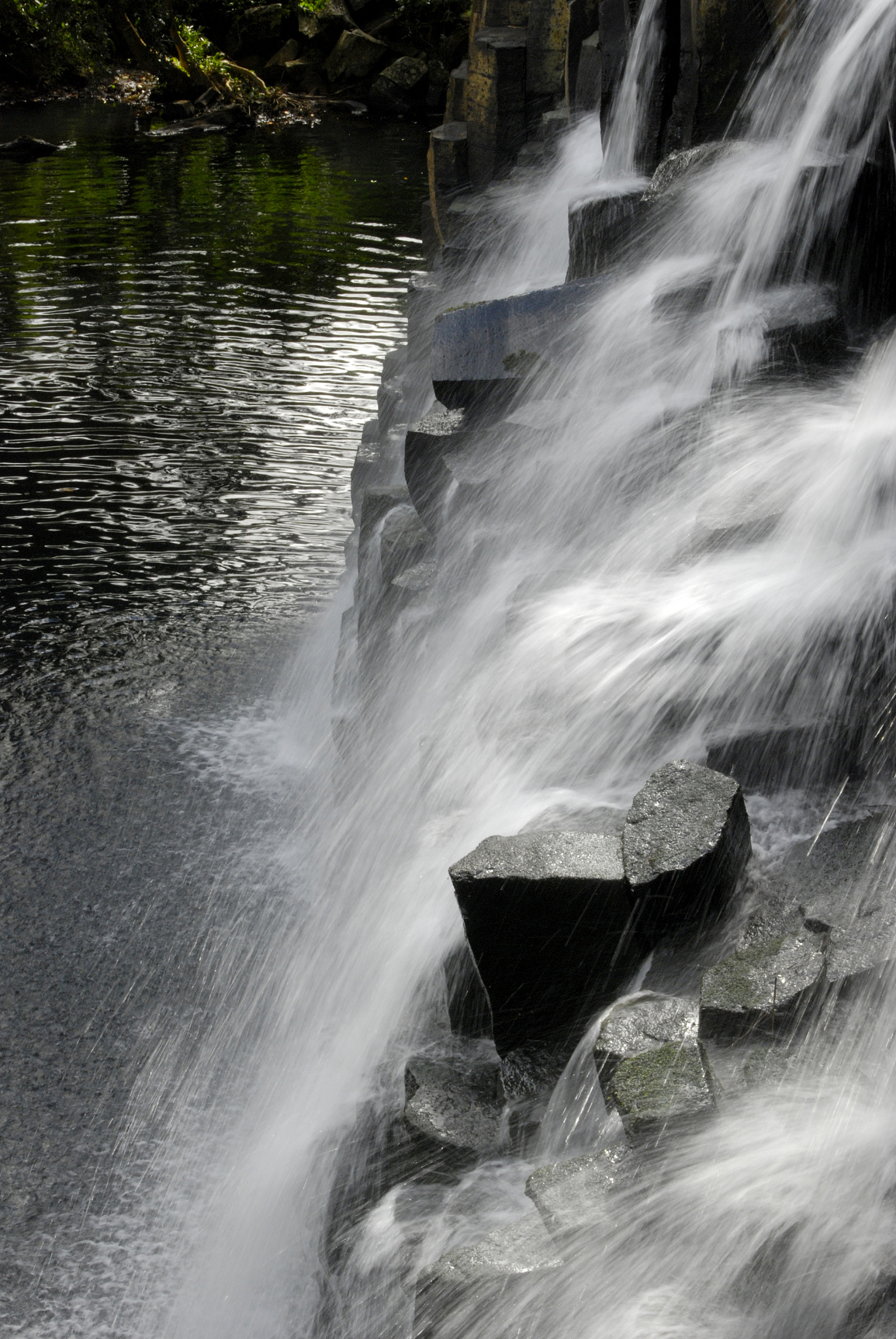 wild water