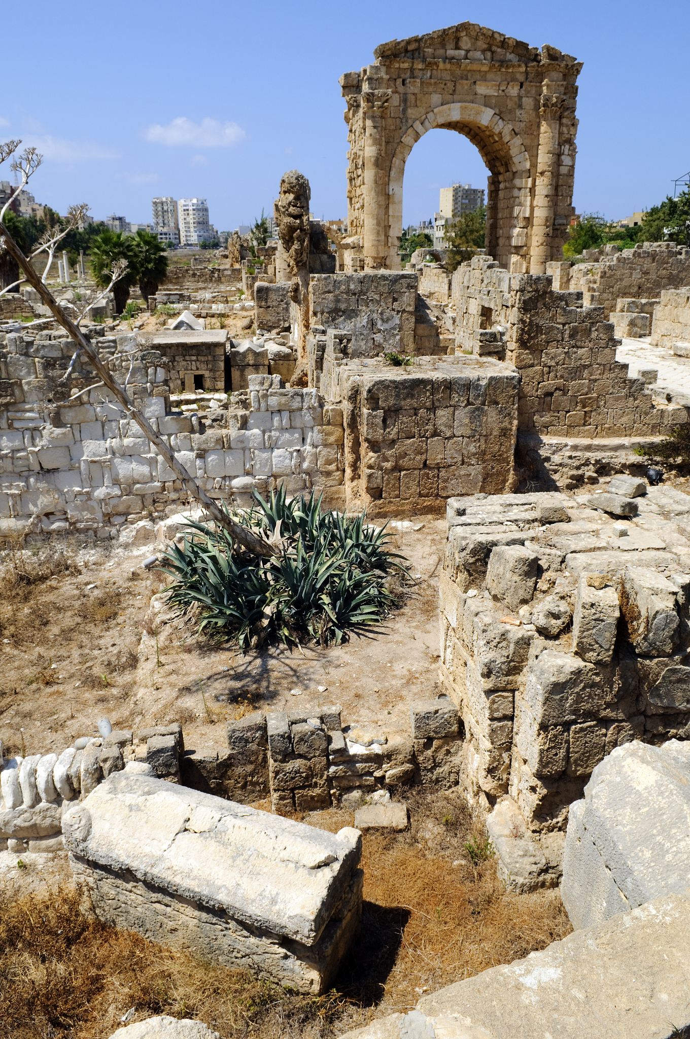 al bass archaeological site in tyre, lebanon