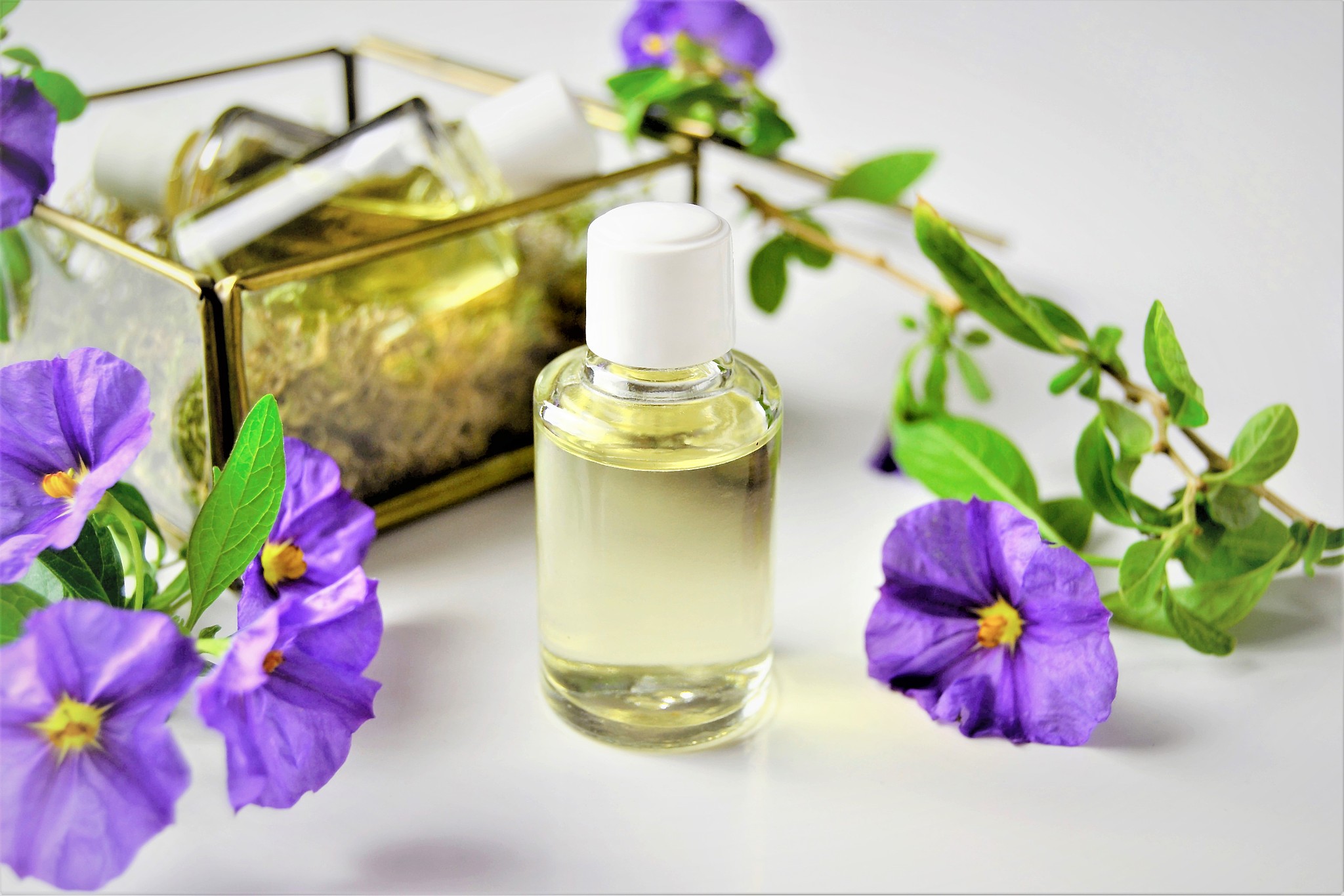 依兰油烯是什么？ - 专业解析