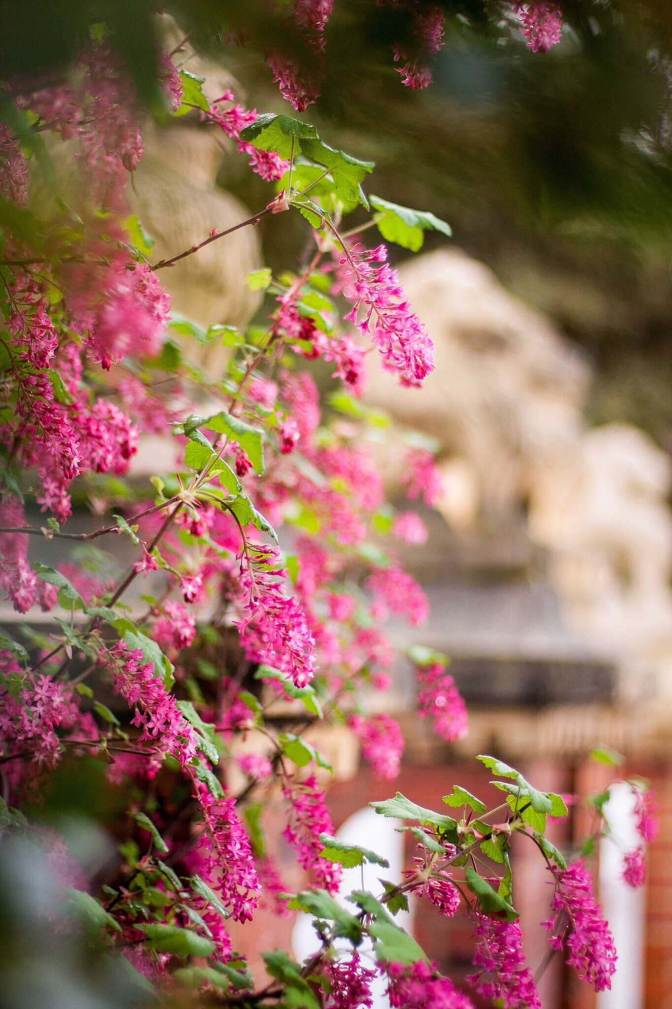 春天的诗藏在花里开在心间春天是一个充满活力的季节万物复苏万紫千红。春天的诗藏在花里开在心间。走在春日的小道上赏花成了人们最爱的活动之一。路旁的樱花花瓣洁白如雪轻盈地飘落让人感受到春日的轻盈与柔软；沿路的桃花花瓣鲜艳如火让人感受到春日的热烈与温暖。每一朵花都仿佛是春天为我们准备的一首诗让我们看到了春天的美。春天也是一段恋爱的季节。在春天里恋人们常常约在花海中相约。他们手牵着手走在春天的小道上感受着春
