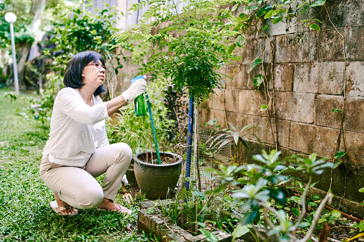 梓潼县七一高级职业中学校中草药栽培专业招生对象好不好