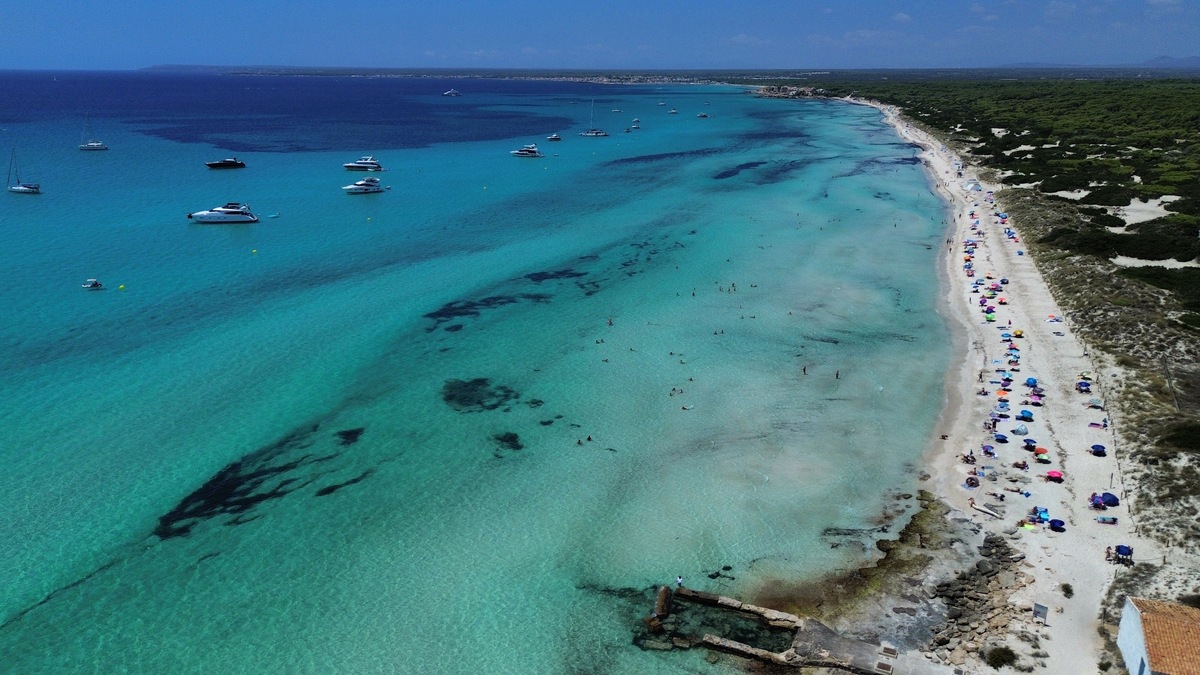 菲利普岛：探索澳大利亚迷人的海岛天堂