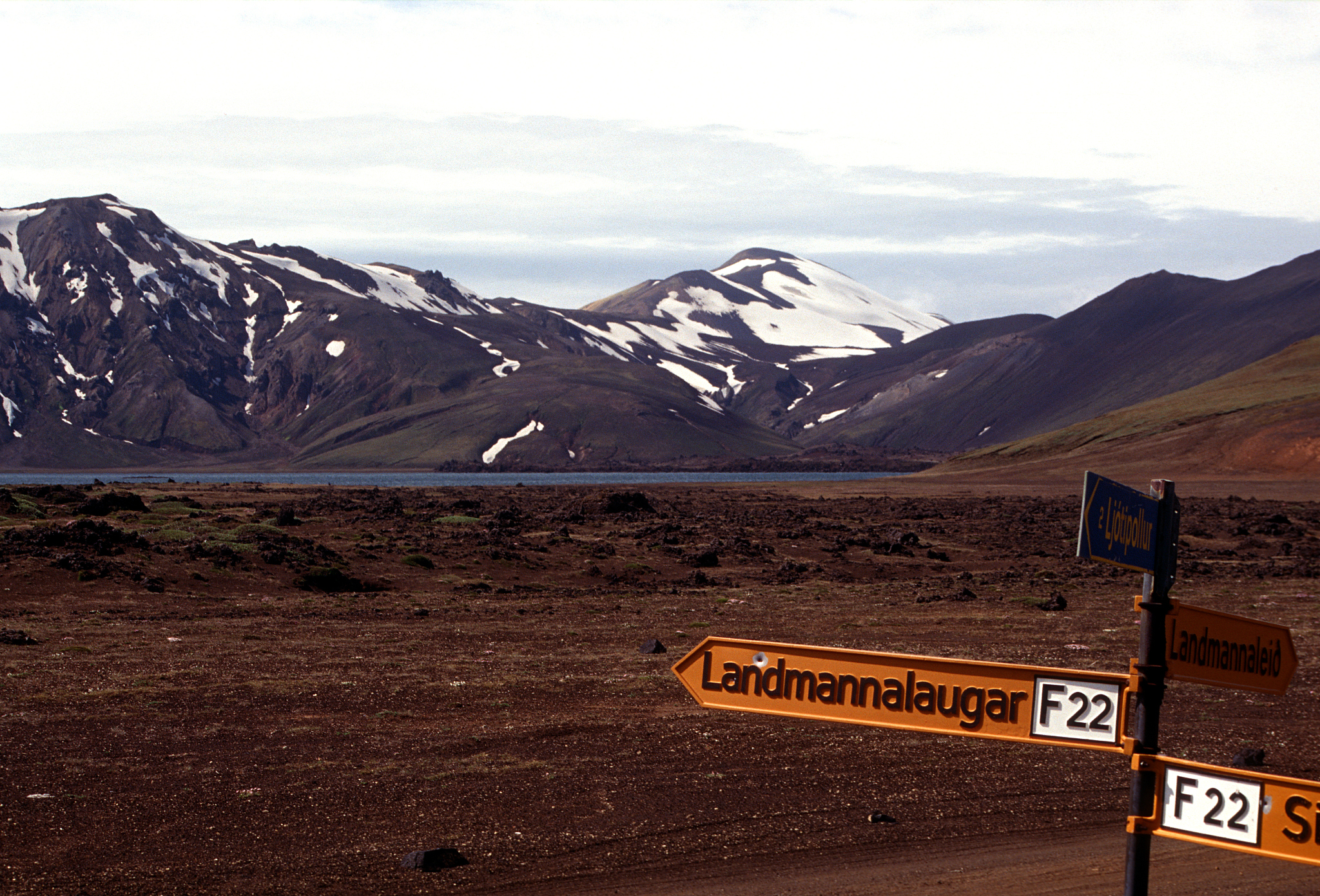 吉林旅游服务与管理专业就业方向 发展前景怎么样