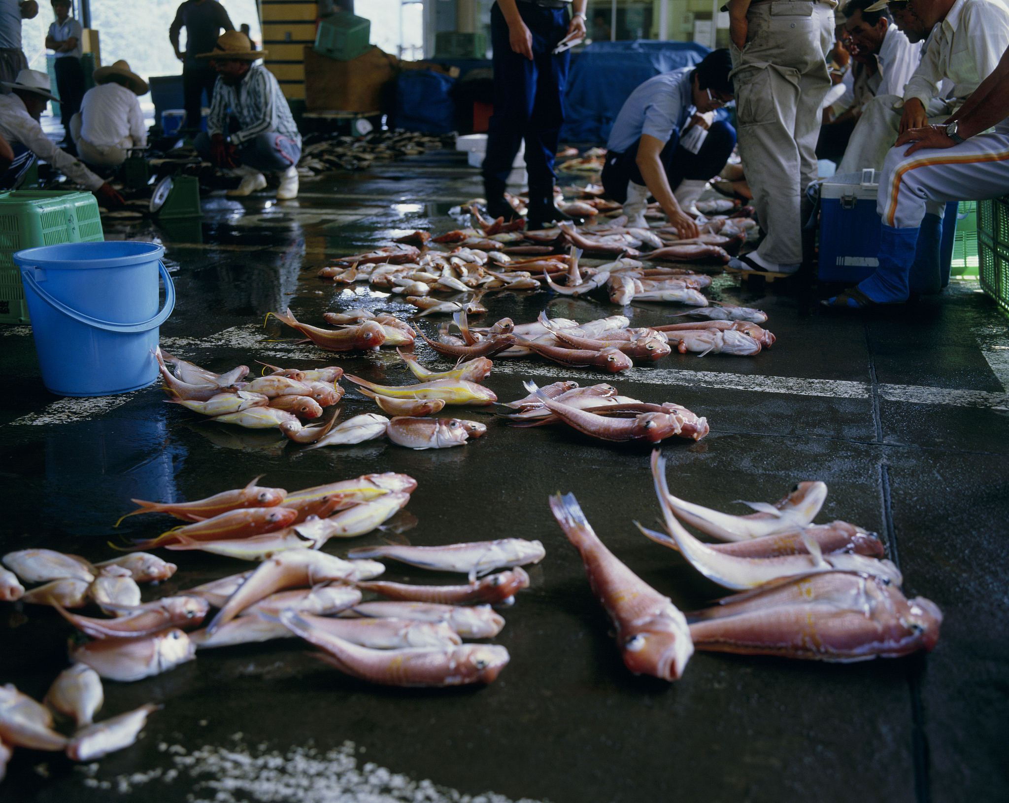 日本核废水排海:中国如何应对?加强自身防范,严控进口,绝不容忍! 日本核废水排海:中国如何应对?加强自身防范,严控进口,绝不容忍!