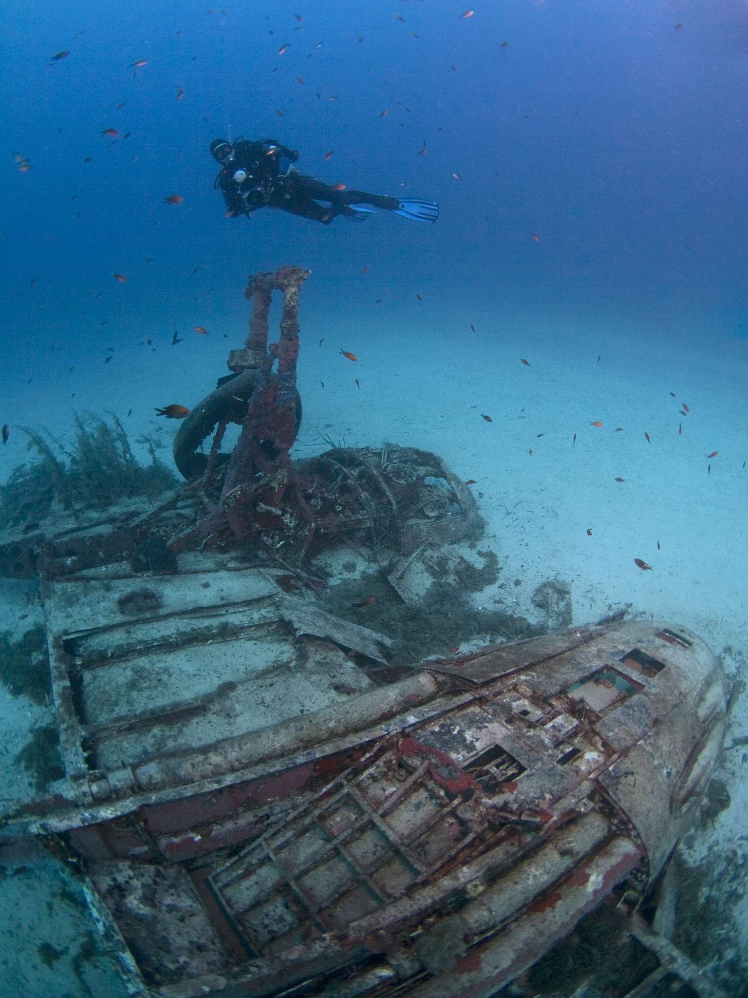 scuba diver on a wrecked bomber plane