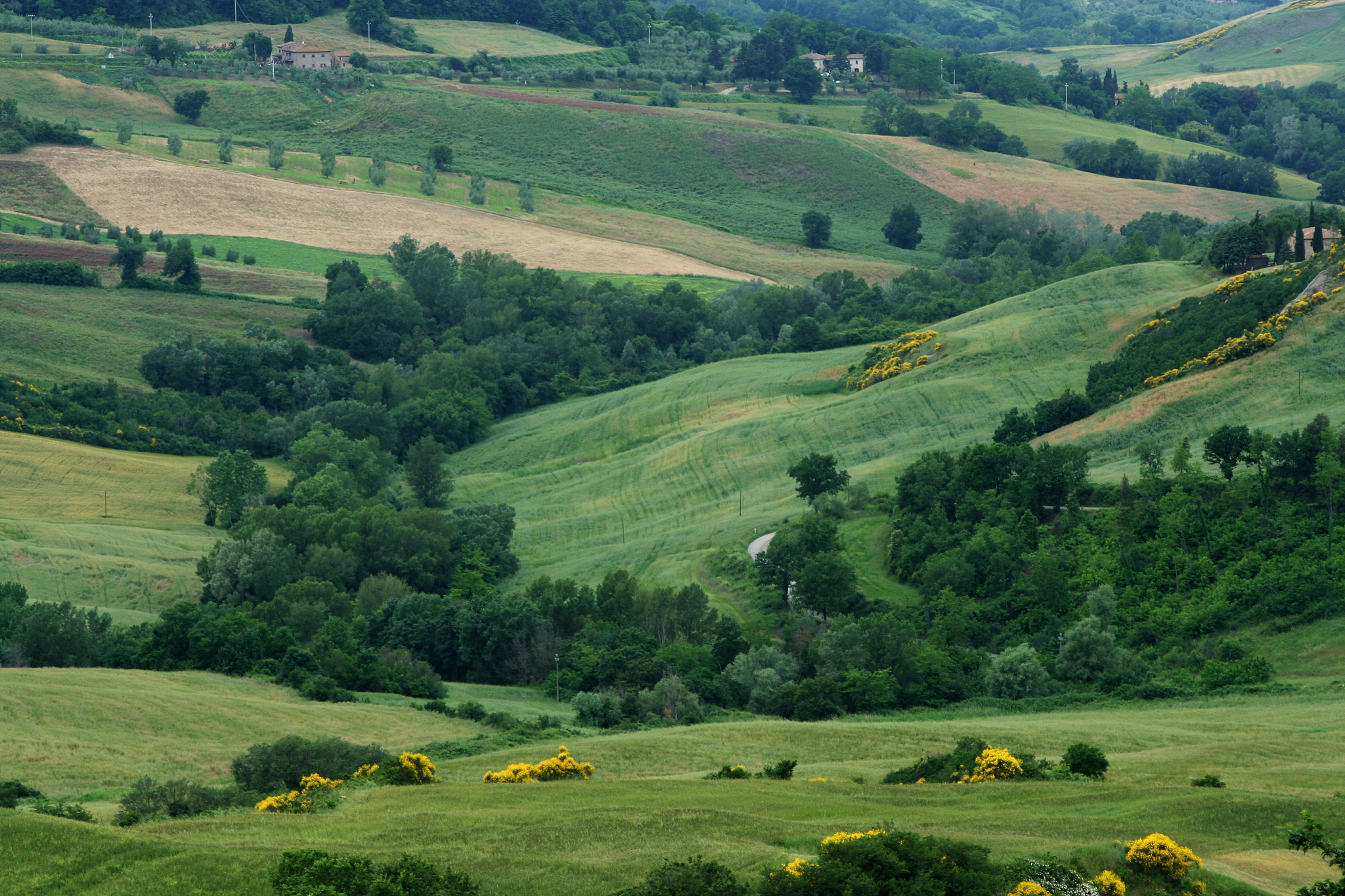 tuscan landscape, italy