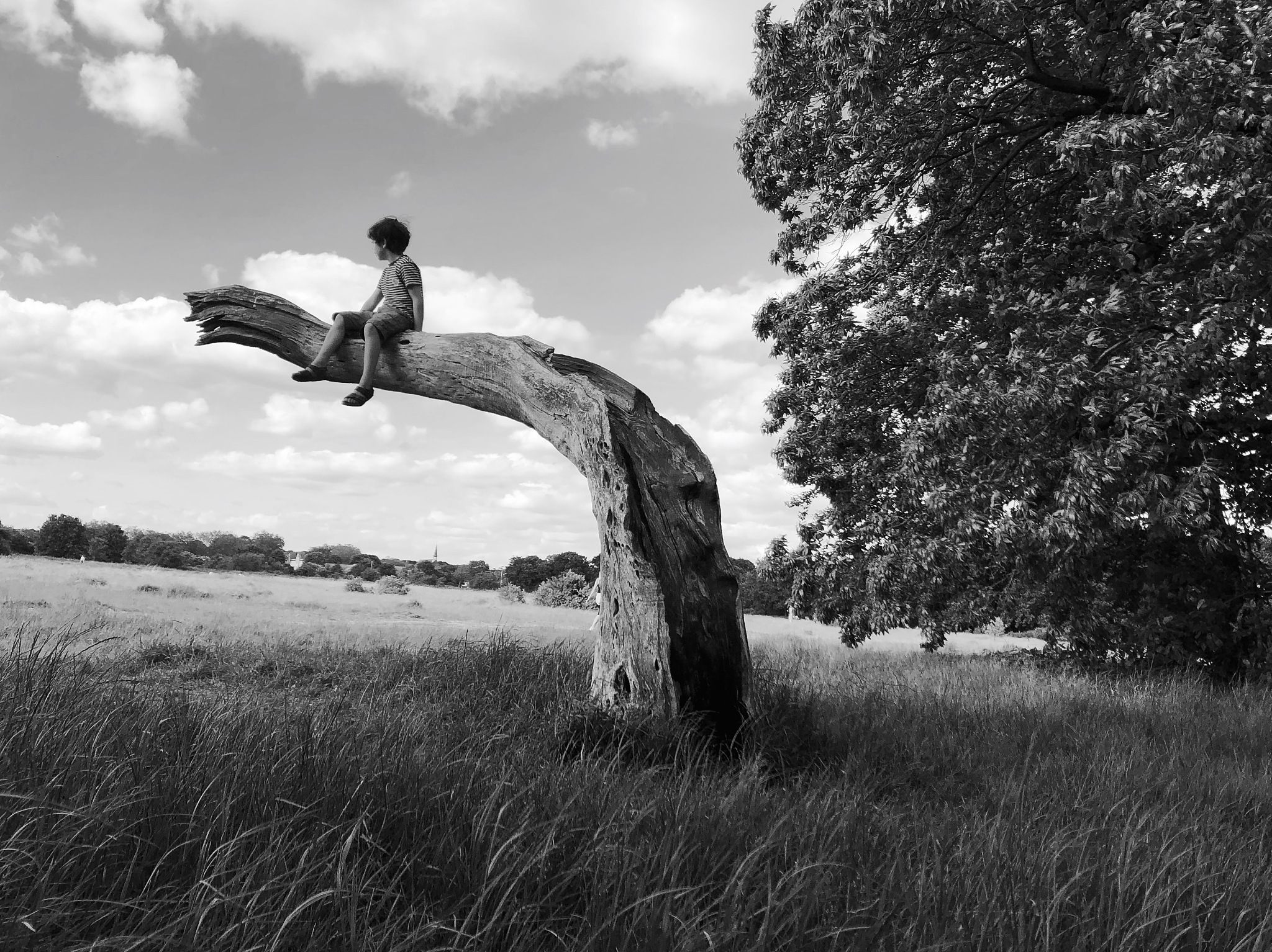 Antonio J Manzanedo和Lee Jeffries各自有何特点还有哪些著名的摄影师及风格介绍