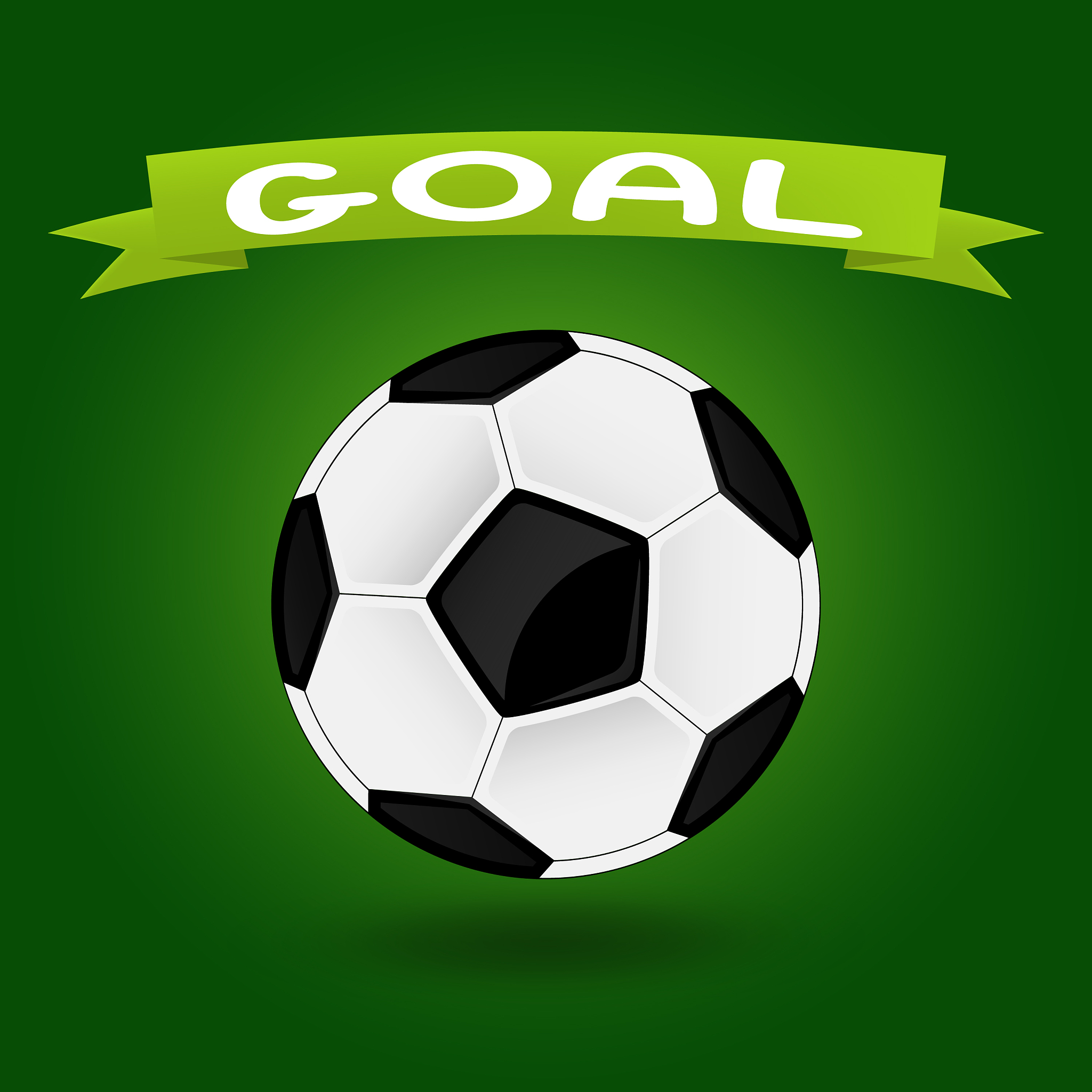 a soccer ball